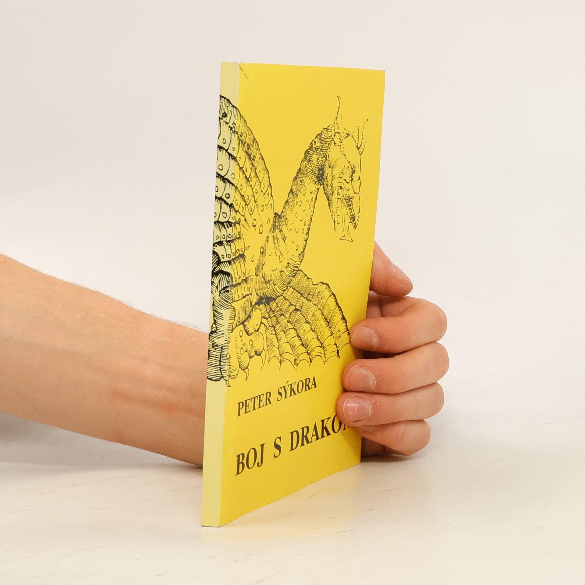 Peter Sýkora Boj s drakom