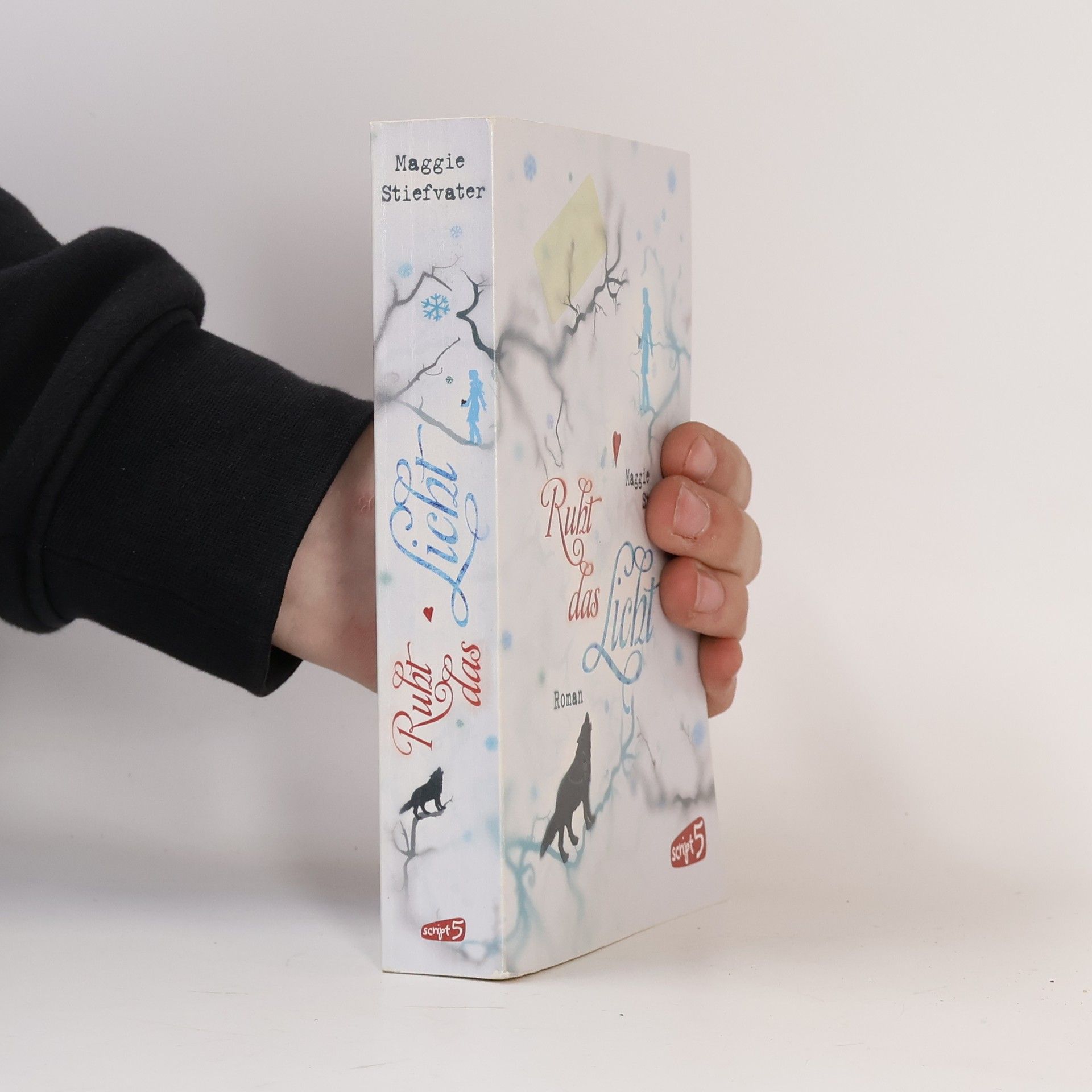 Maggie Stiefvaterová Ruht das Licht