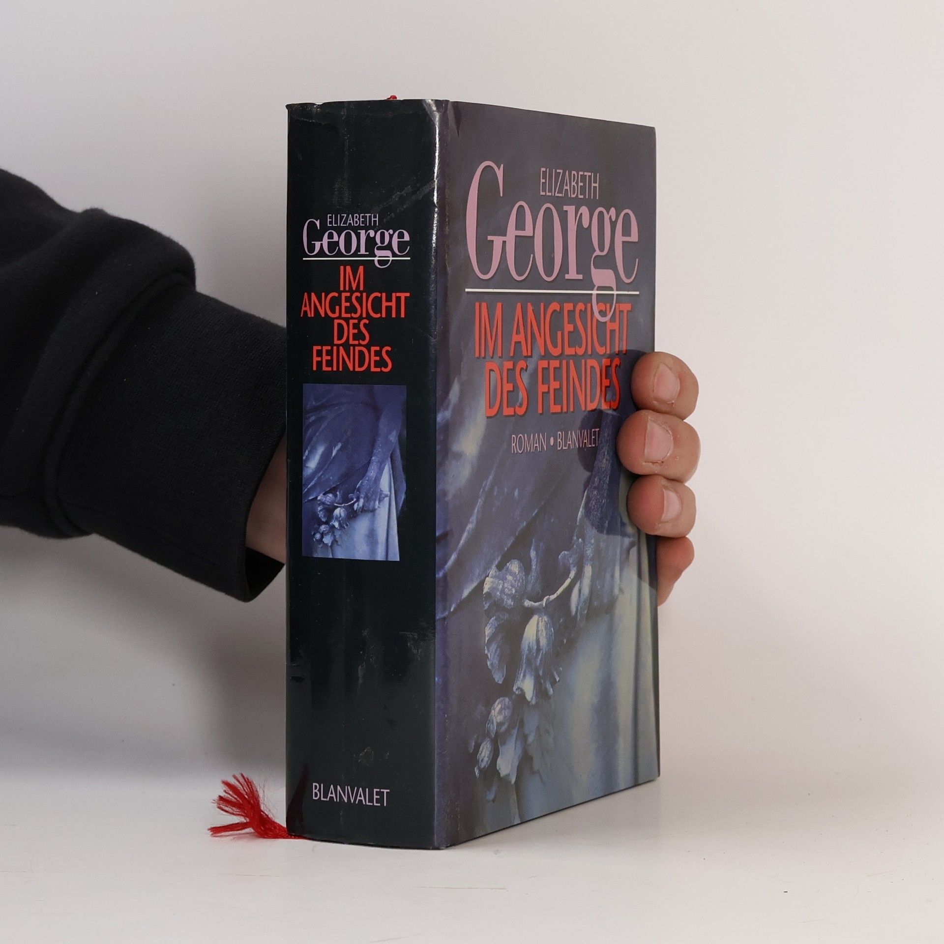 Elizabeth George Im Angesicht des Feindes