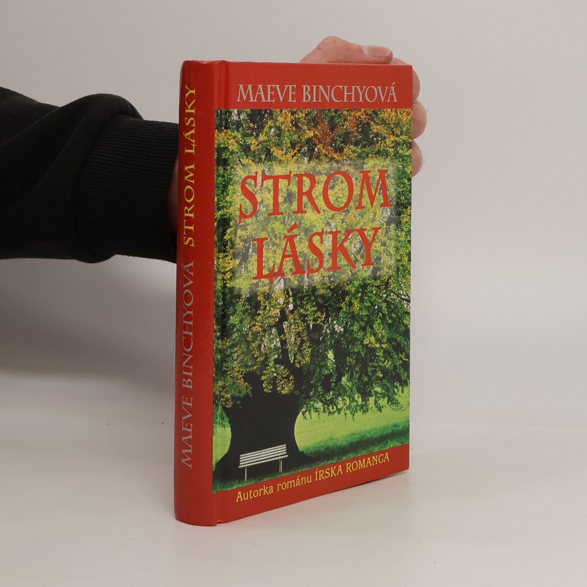 Maeve Binchy Strom lásky