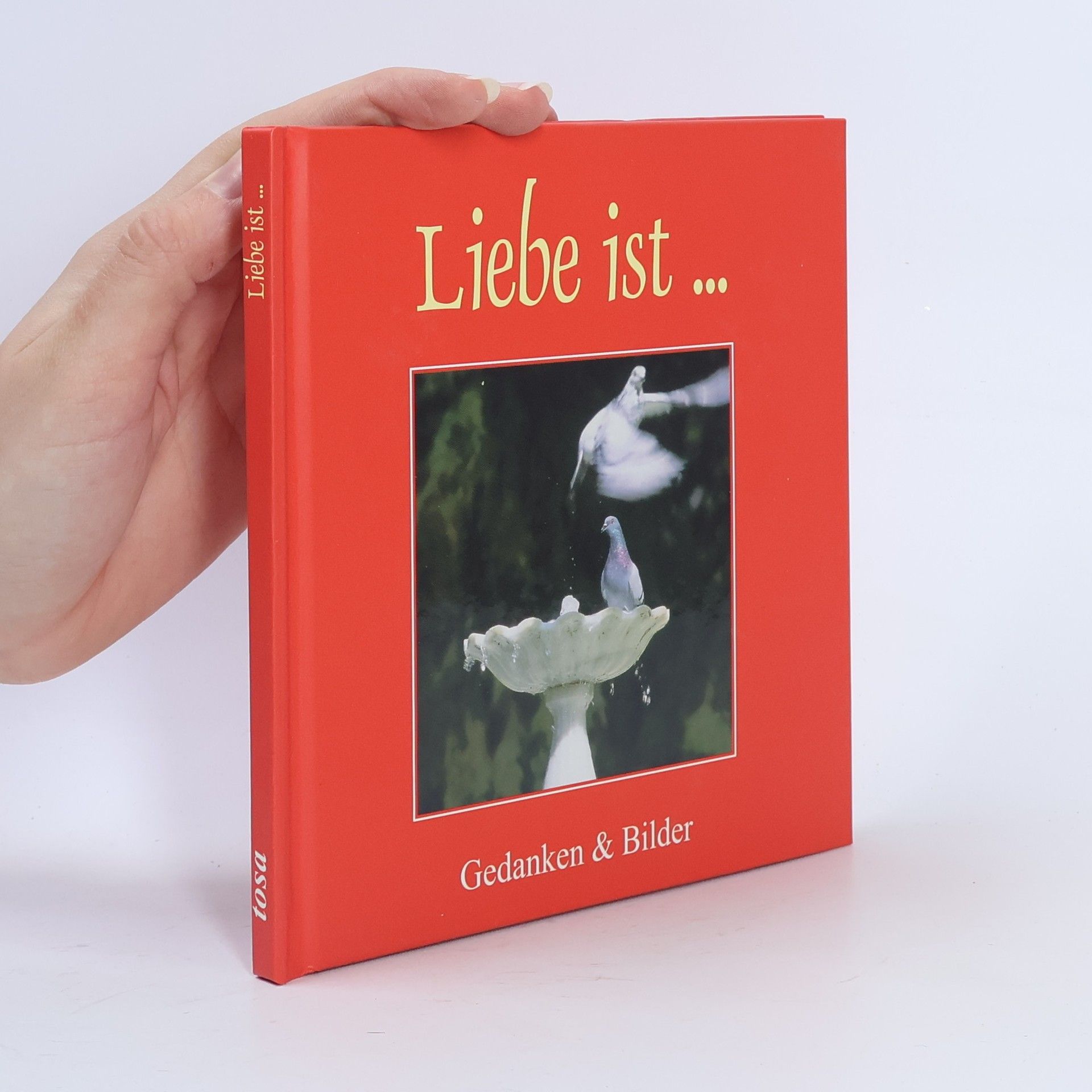 Kolektiv autorů Liebe ist...