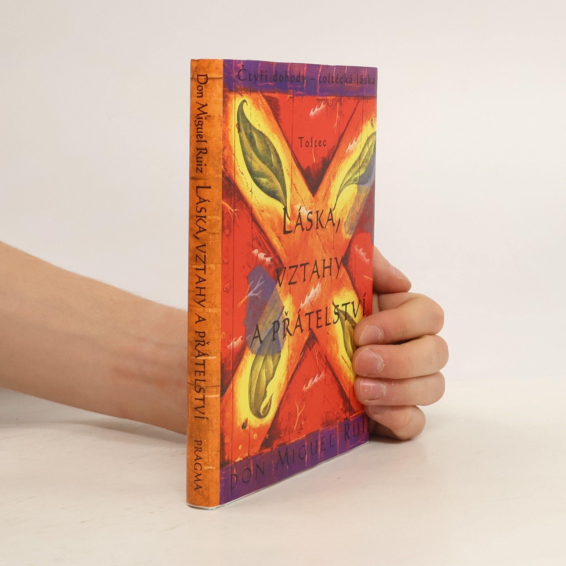 Don Miguel Ruiz Láska, vztahy a přátelství