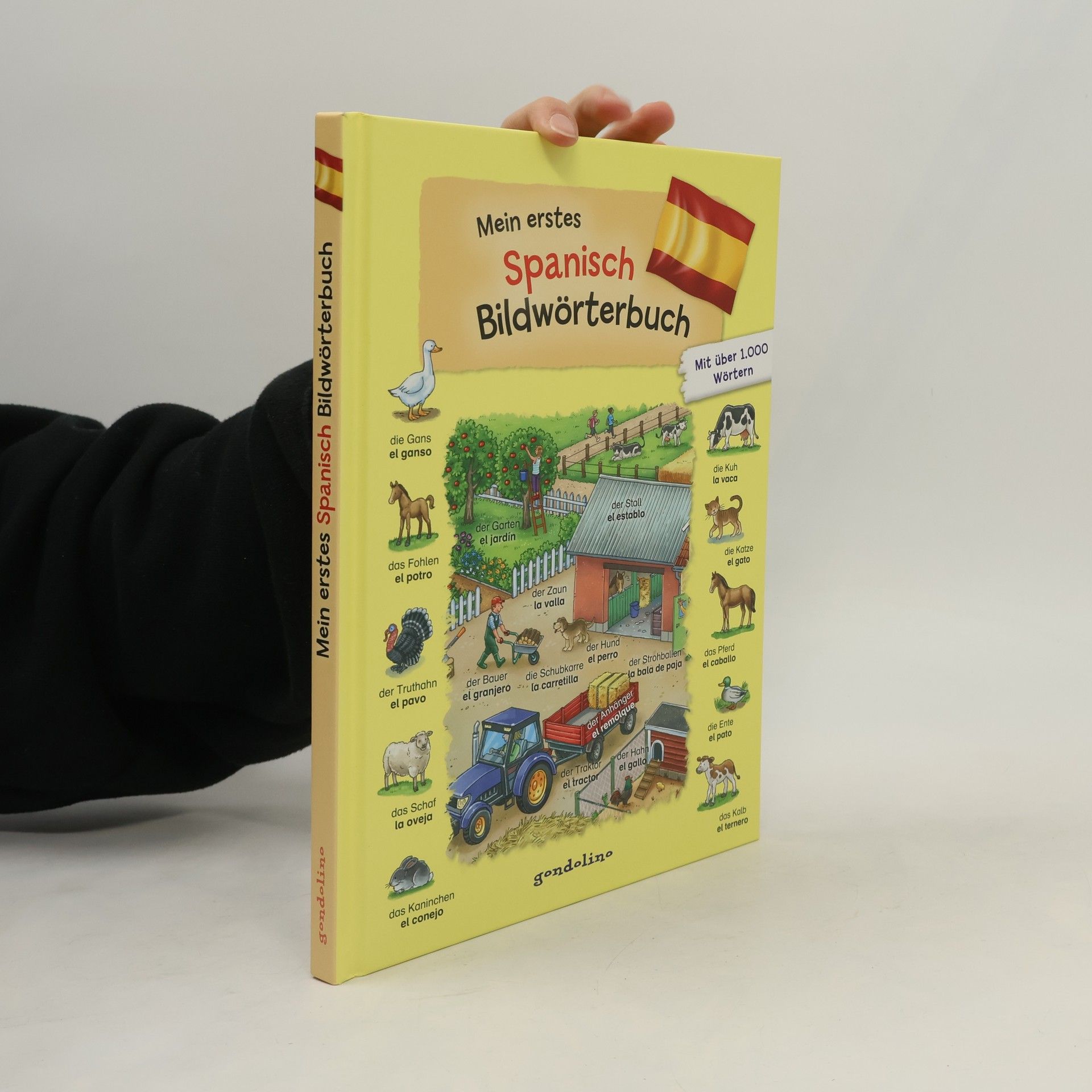 Auteurscollectief Mein erstes Spanisch Bildwörterbuch