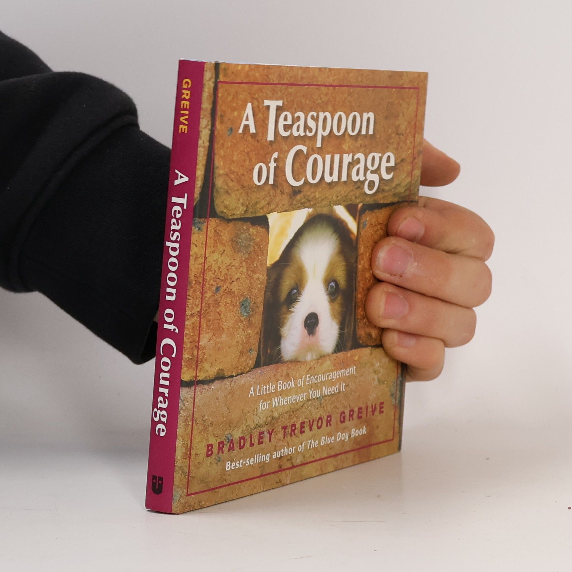 Bradley Trevor Greive A Teaspoon of Courage