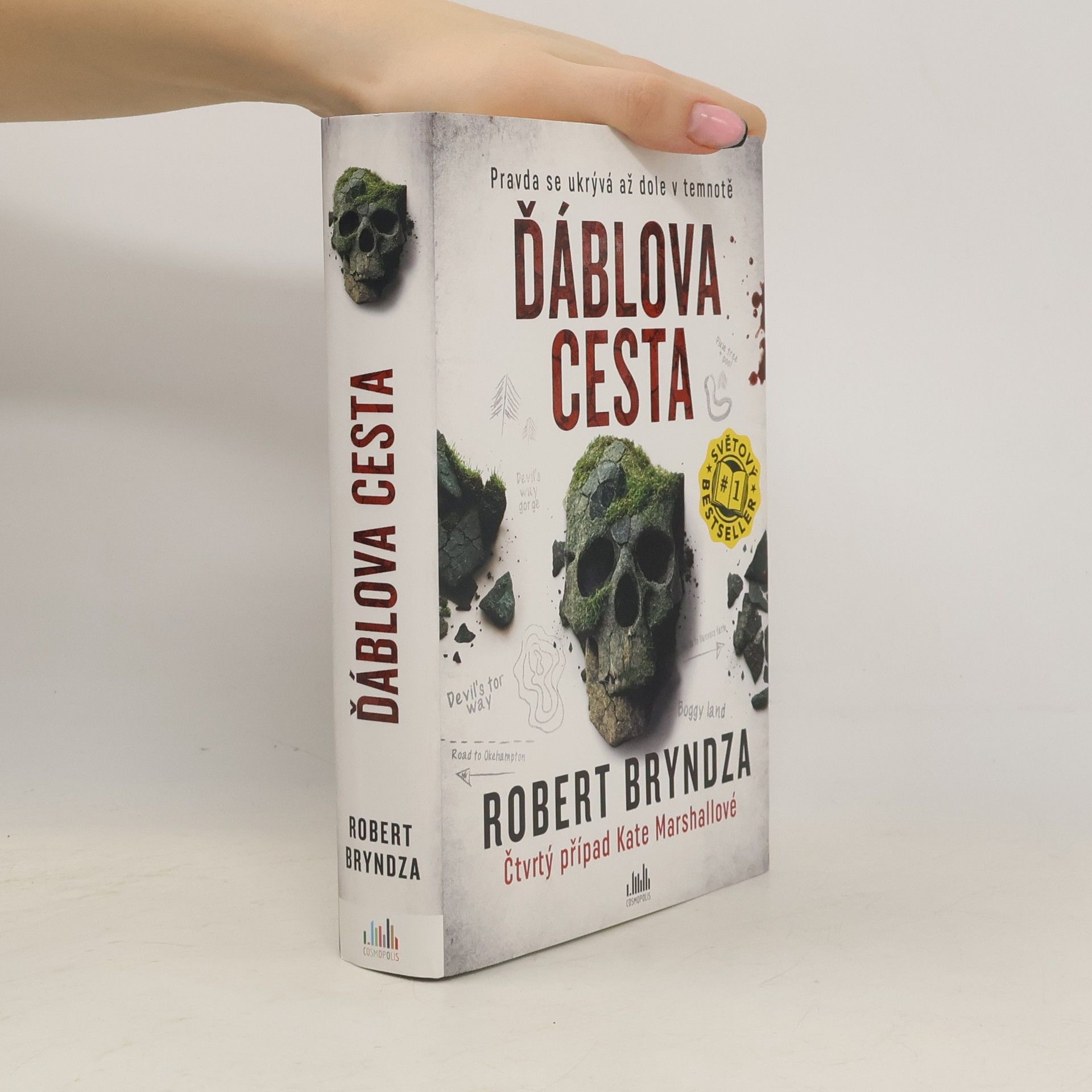 Robert Bryndza Ďáblova cesta