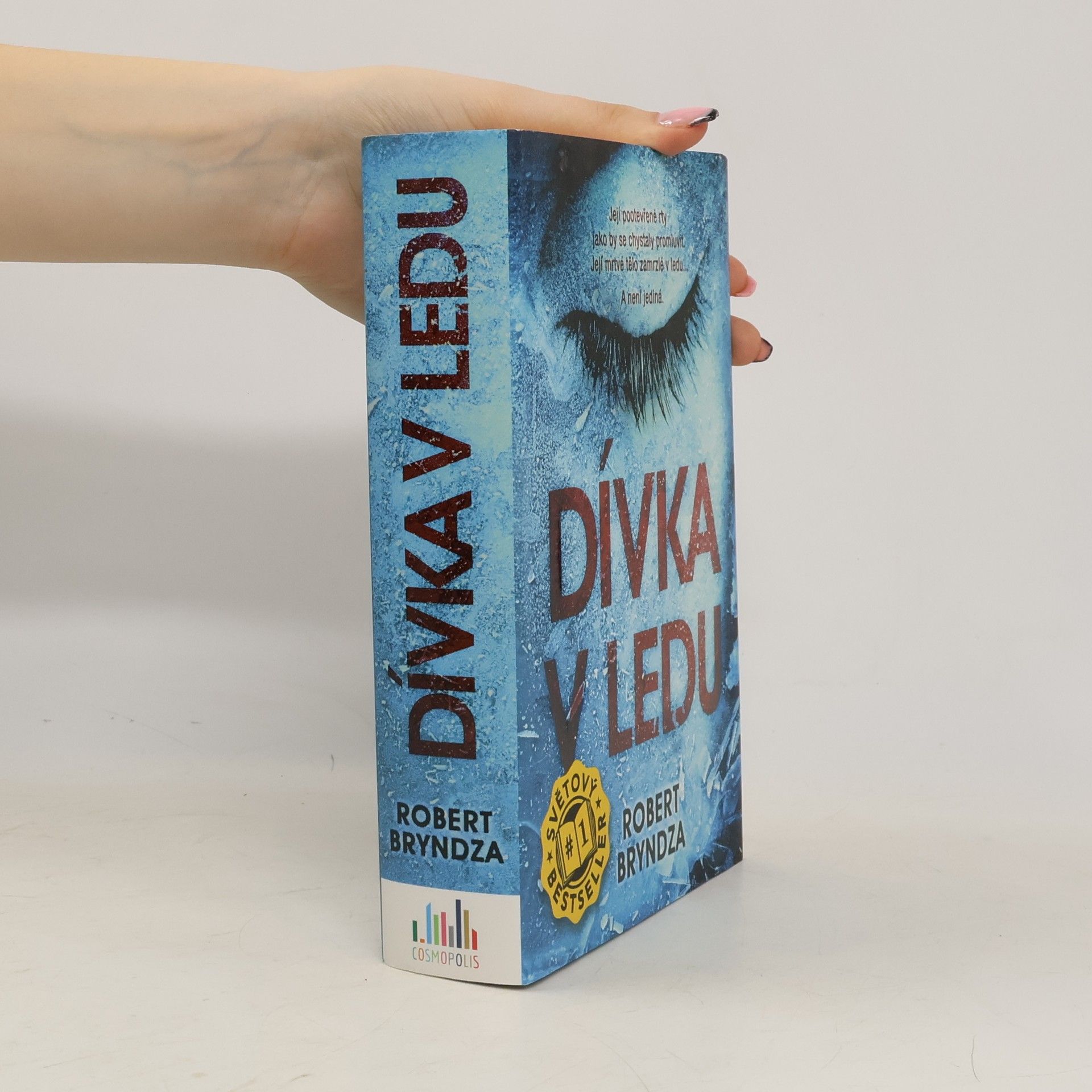 Robert Bryndza Dívka v ledu