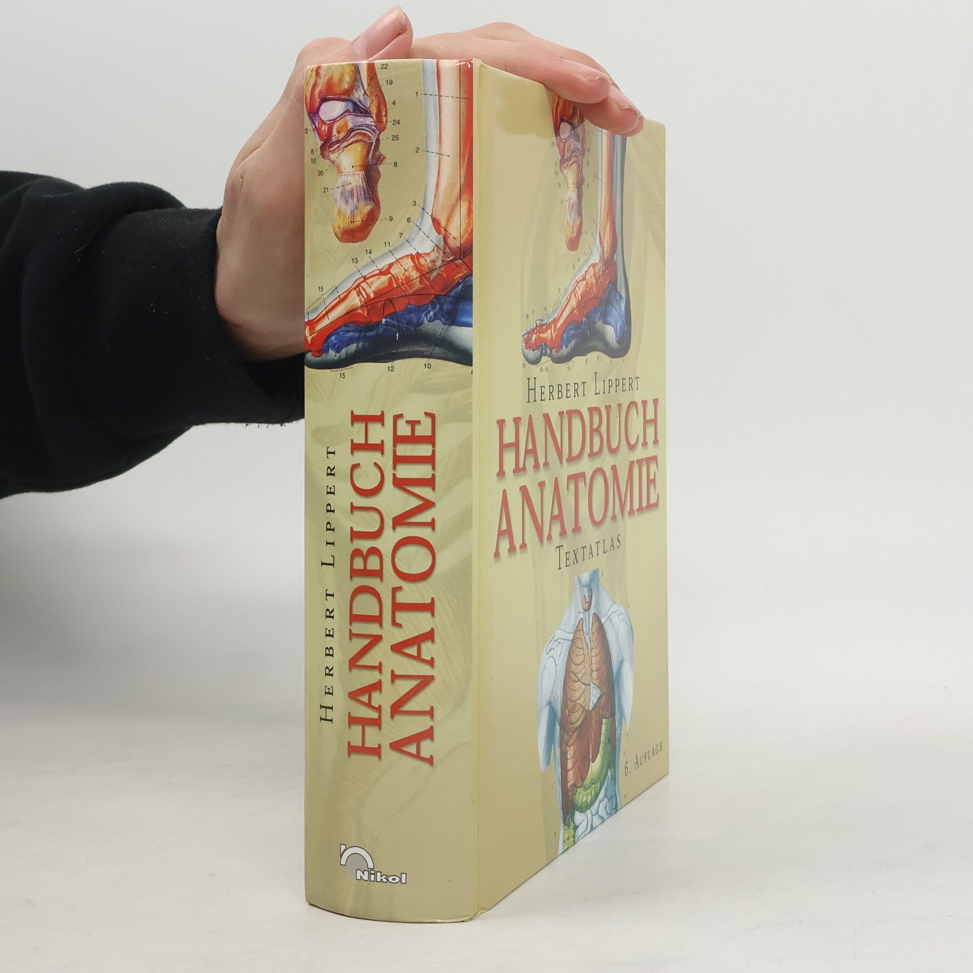 Herbert Lippert Handbuch Anatomie