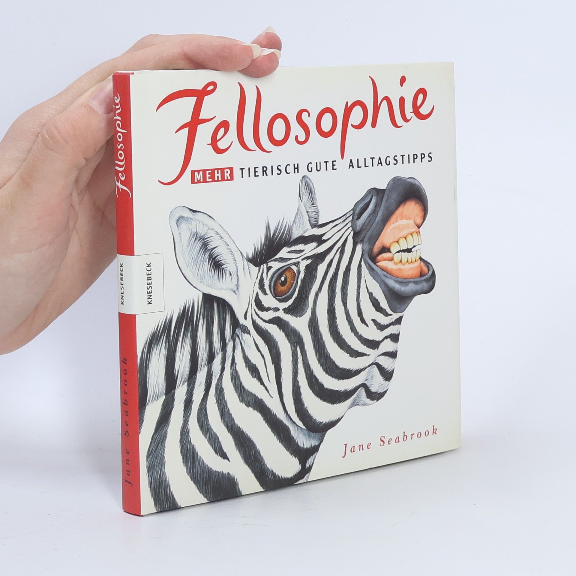 Jane Seabrook Fellosophie