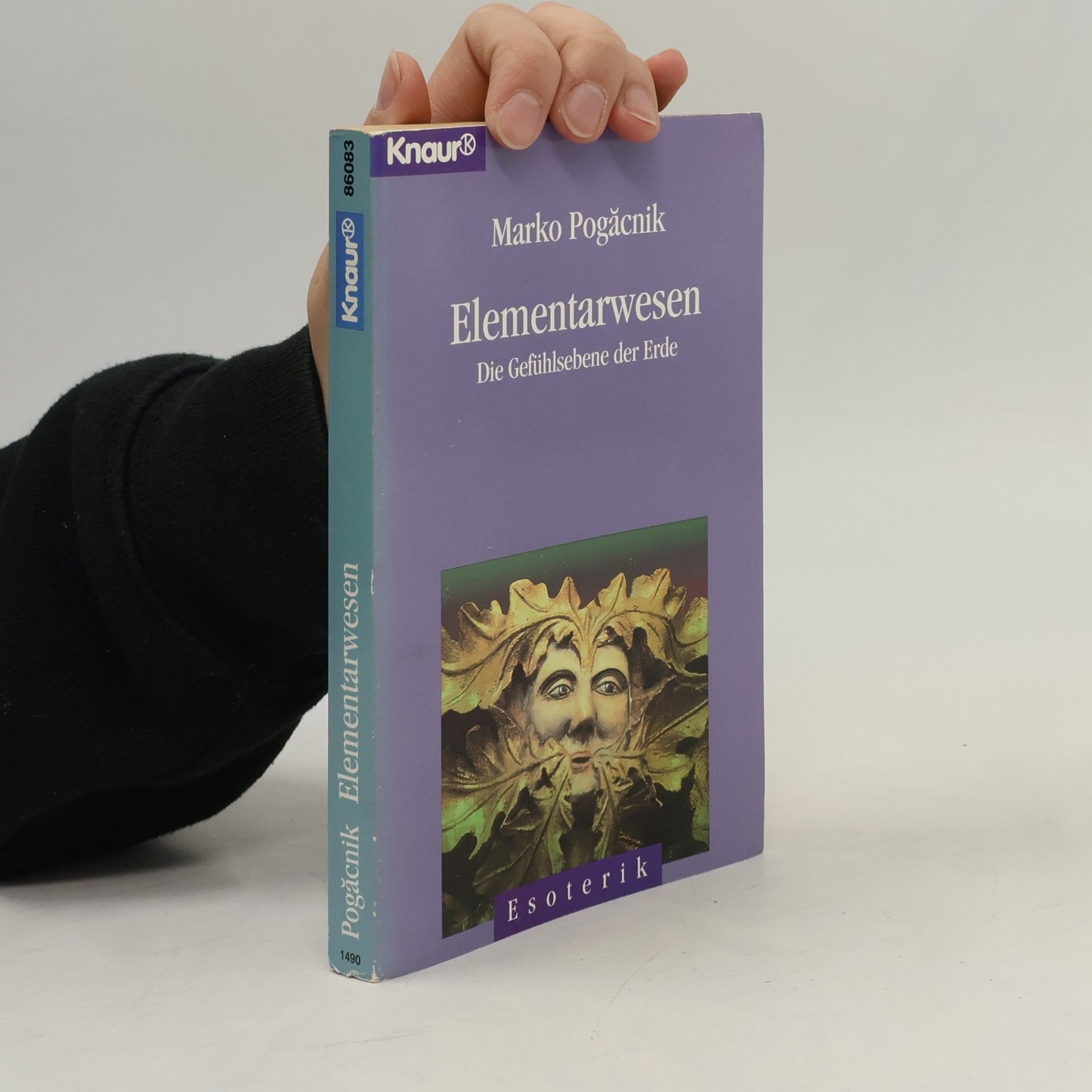 Marko Pogačnik Elementarwesen