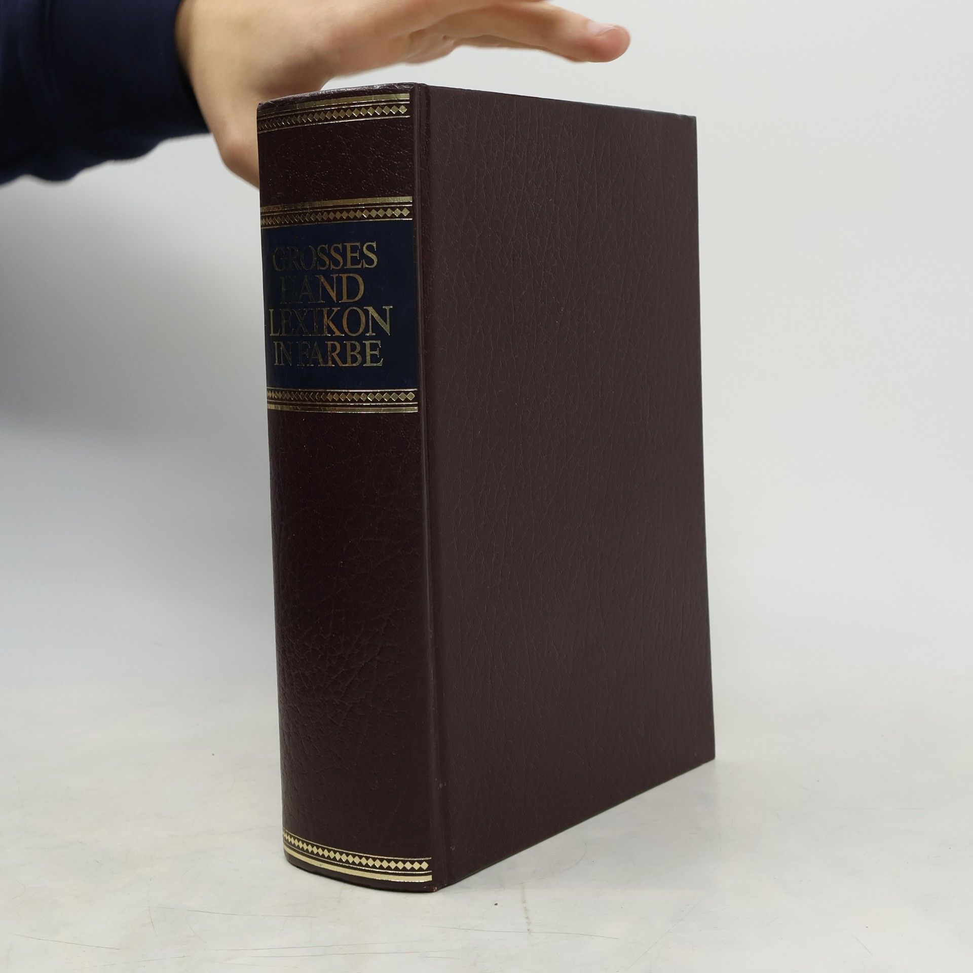 Autorenkollektiv Grosses Handlexikon in Farbe