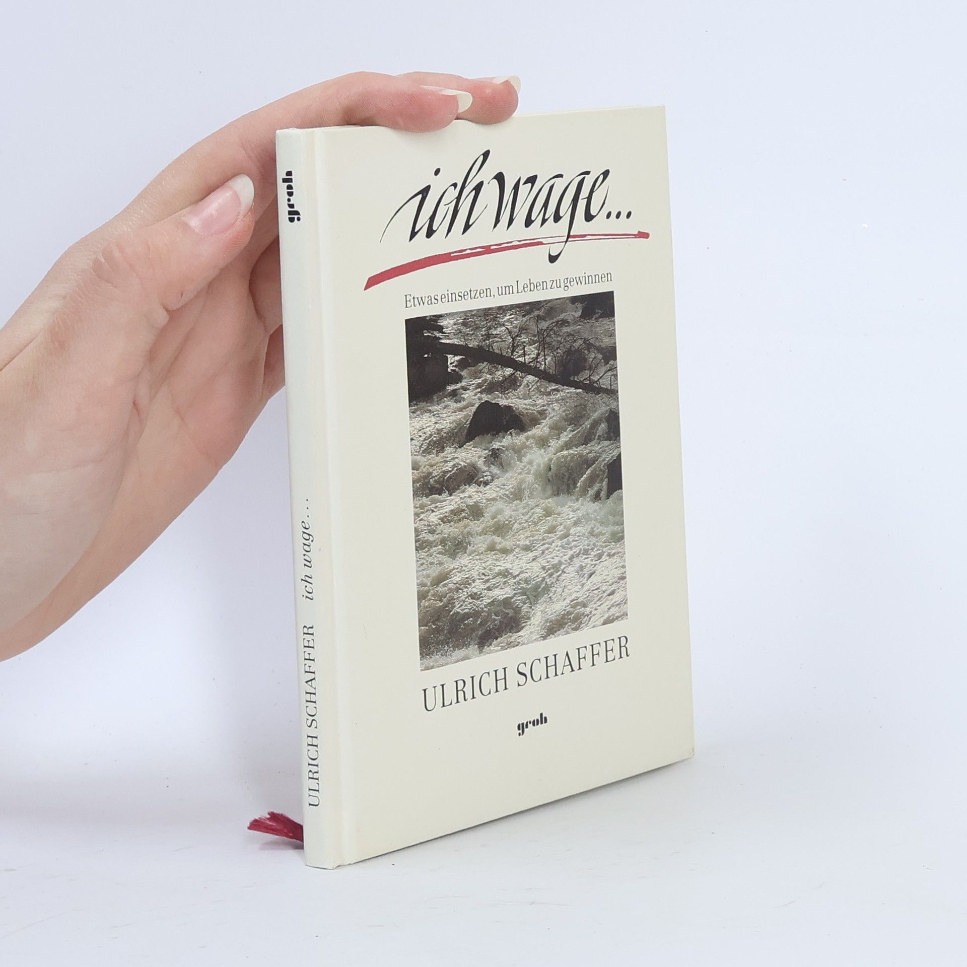 Ulrich Schaffer Ich wage ...