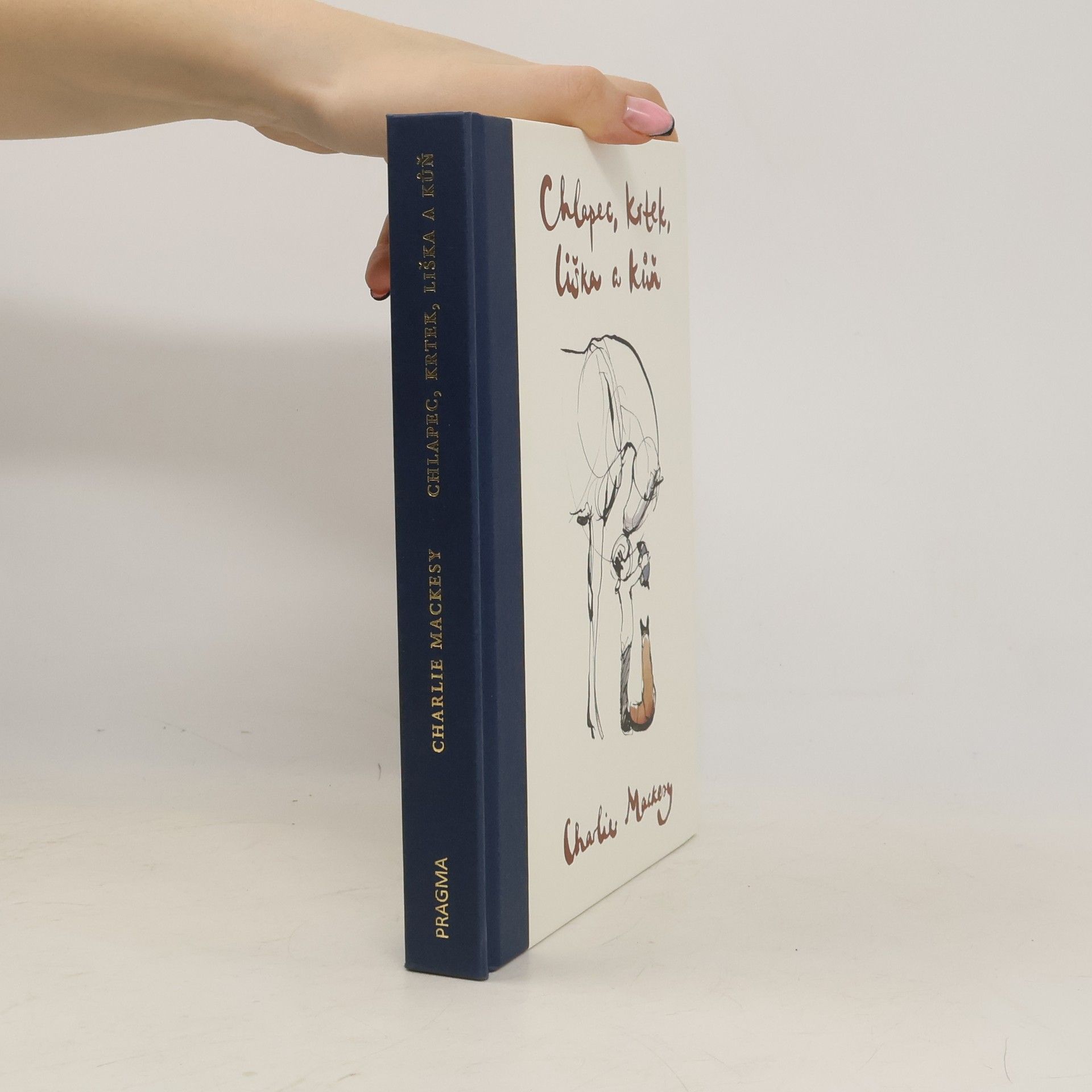 Charlie Mackesy Chlapec, krtek, liška a kůň