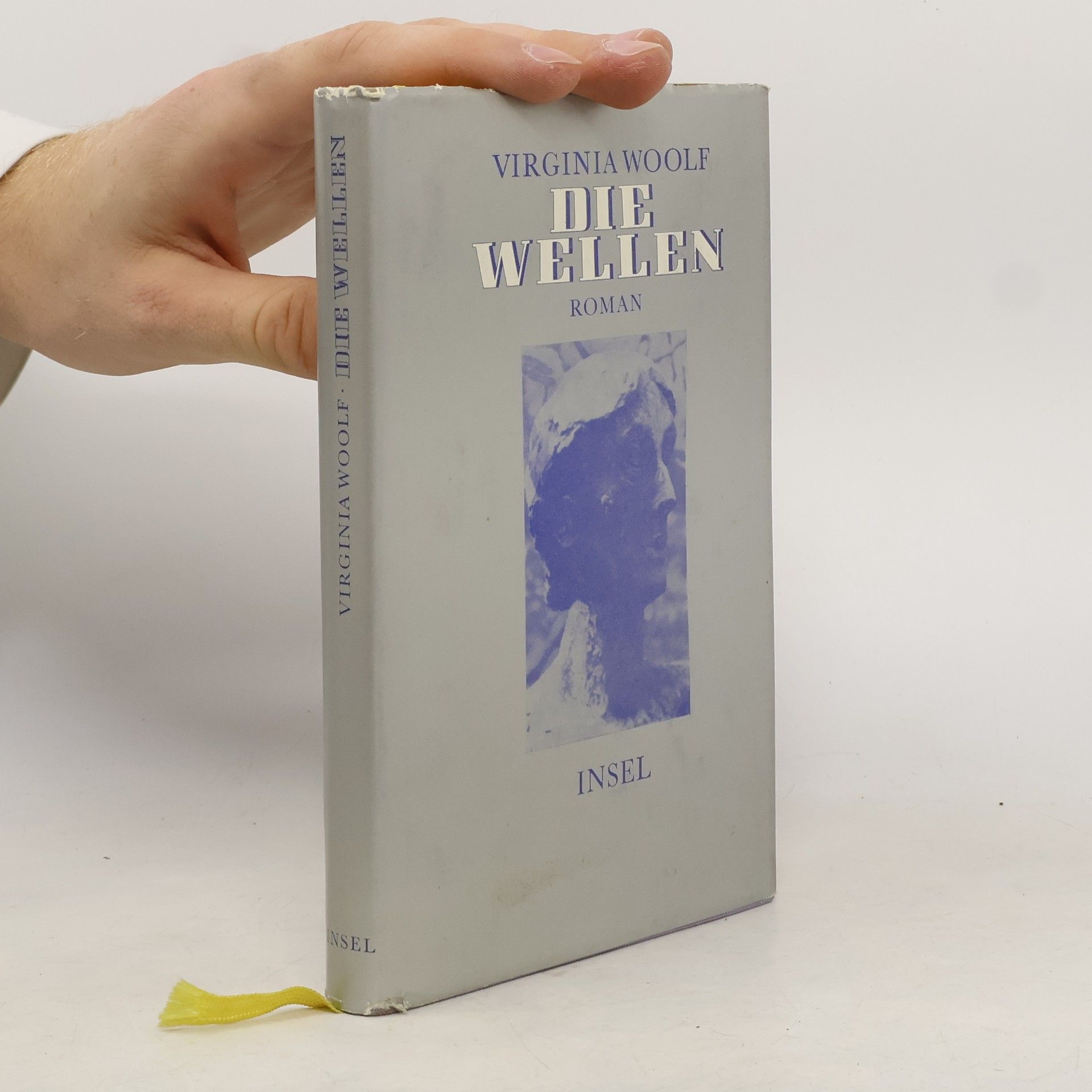 Virginia Woolf Die Wellen