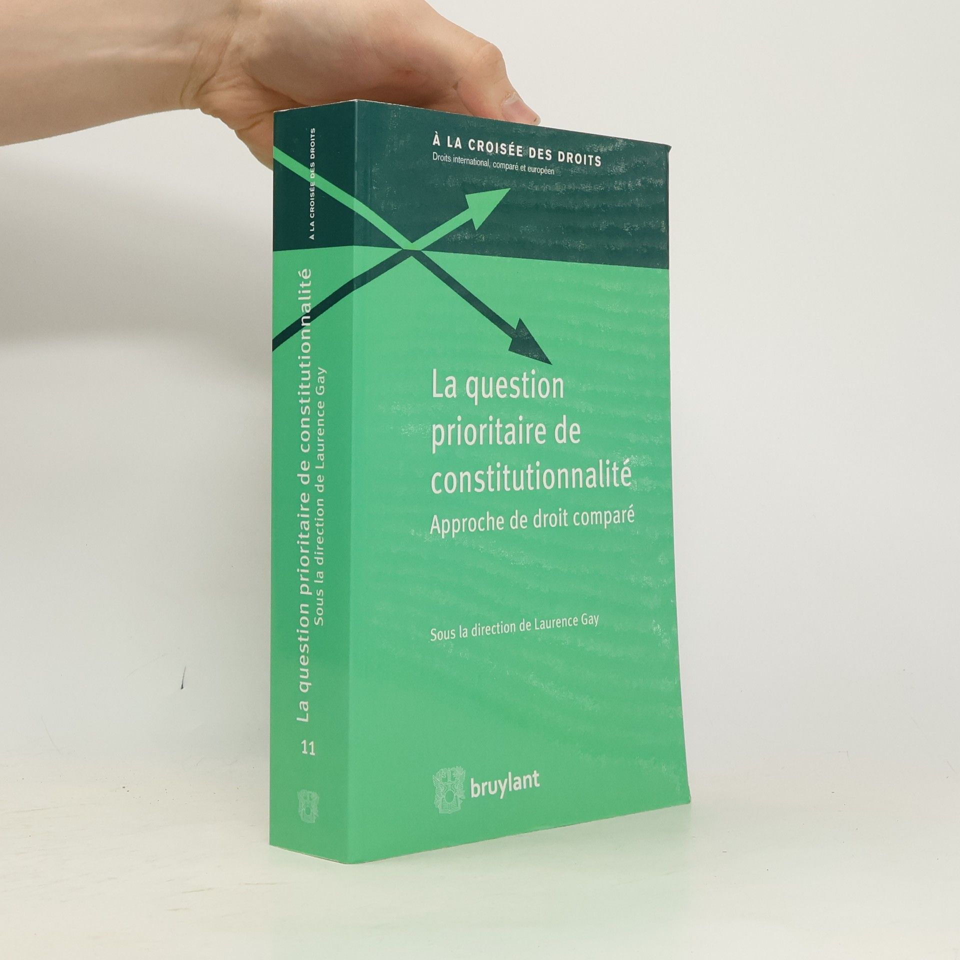 Laurence Gay À la croisée des droits - 11: La question prioritaire de constitutionnalité