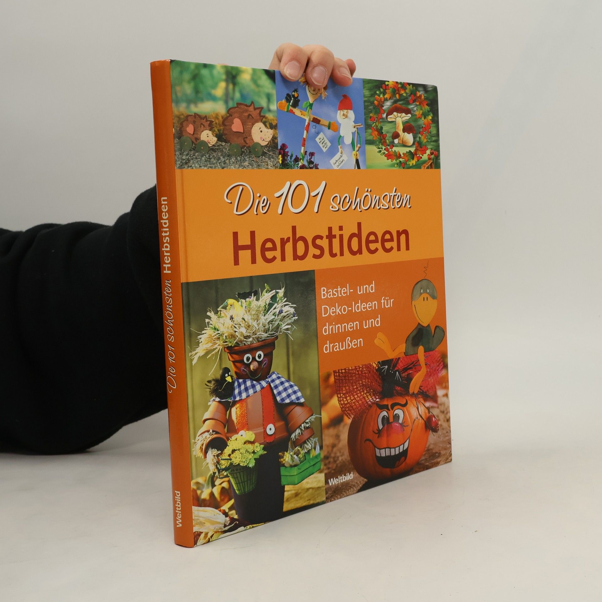 Monika Berger Die 101 schönsten Herbstideen
