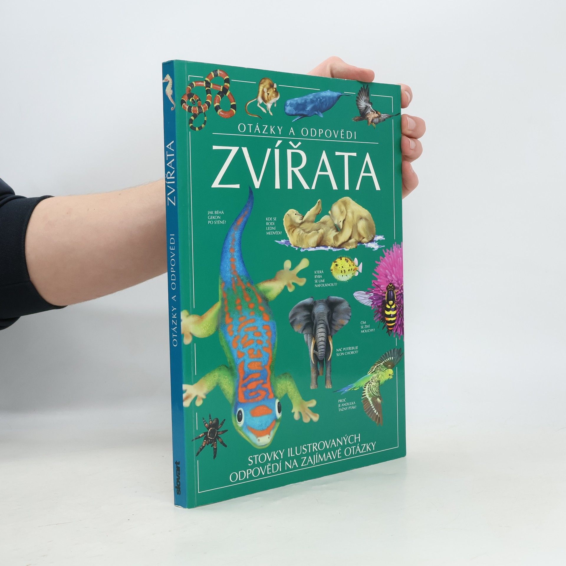 Jen Green Zvířata. Otázky a odpovědi