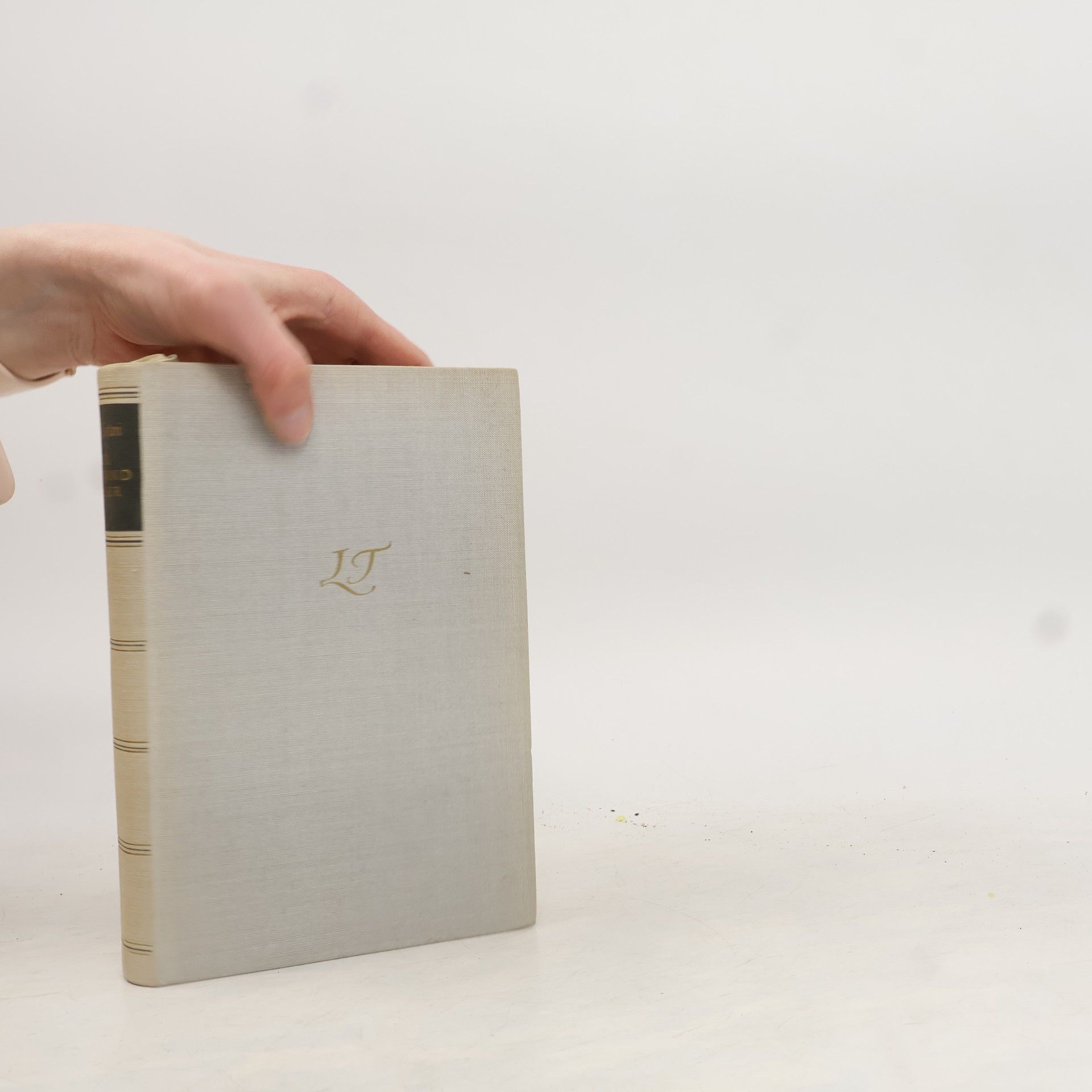 Lev Nikolajevič Tolstoj Der Leinwandmesser