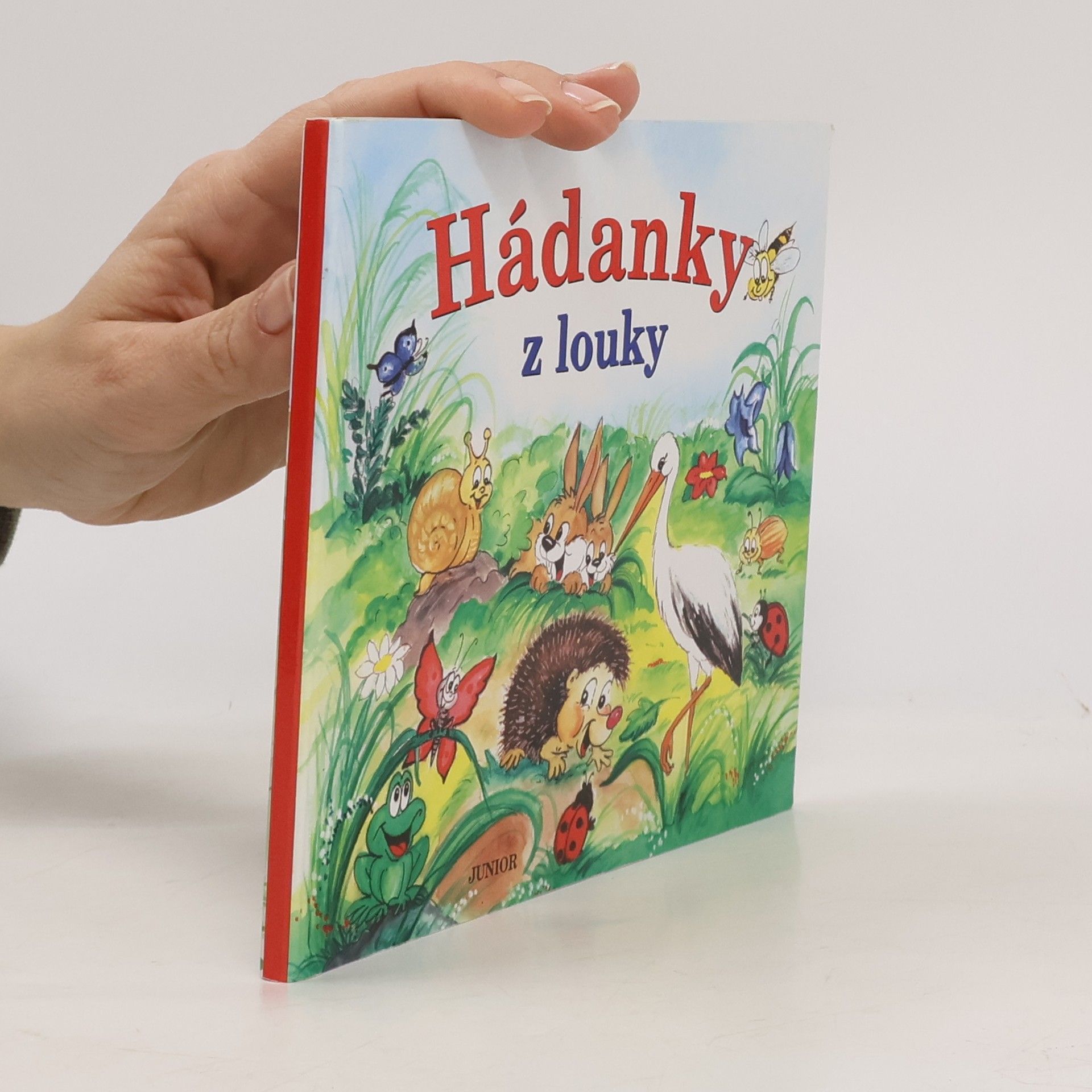 Zuzana Pospíšilová Hádanky z louky