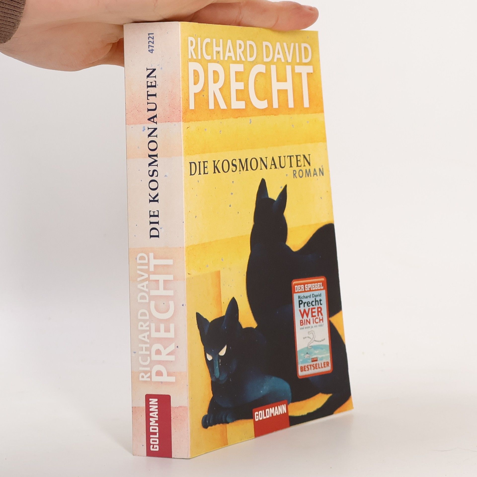 Richard David Precht Die Kosmonauten