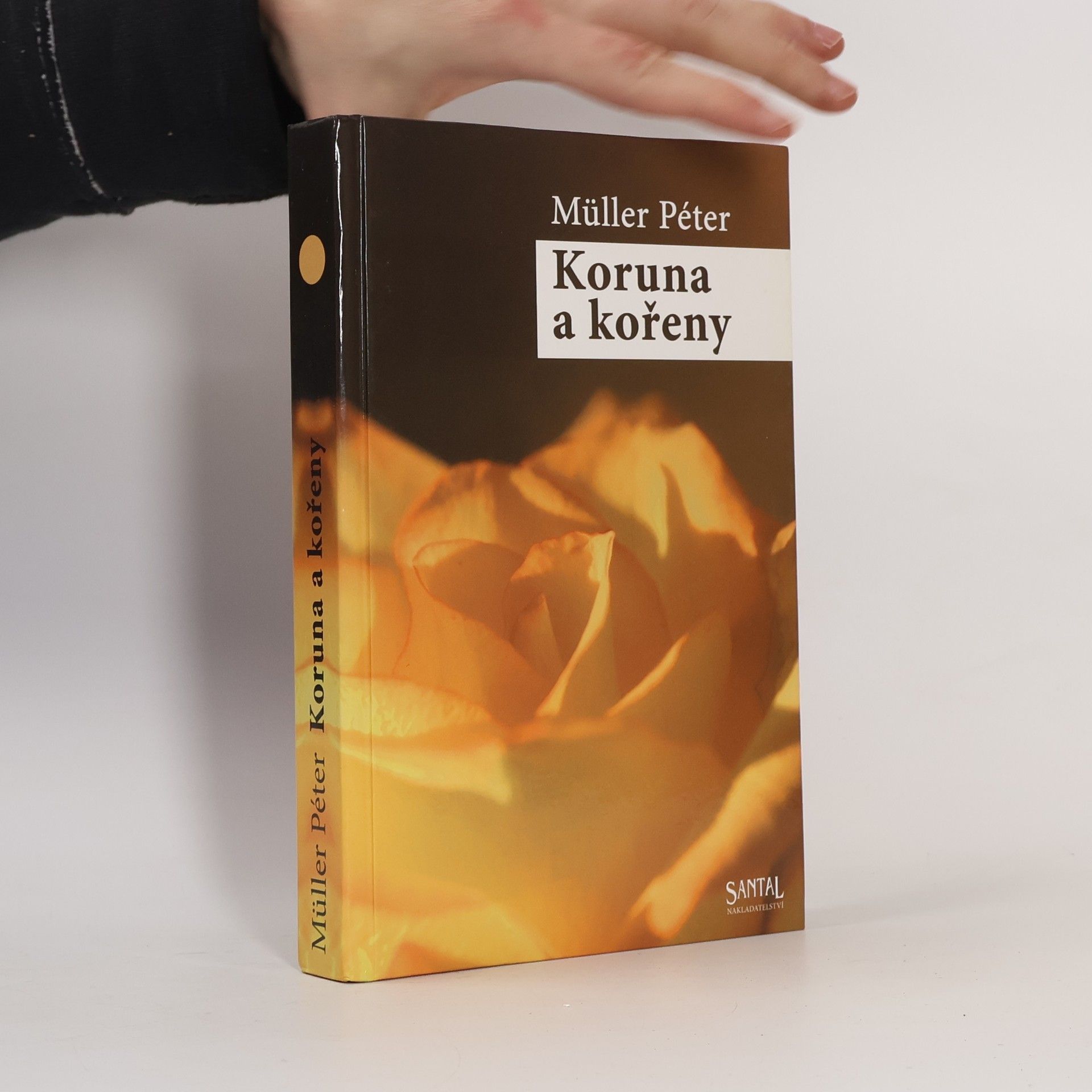 Péter Müller Koruna a kořeny