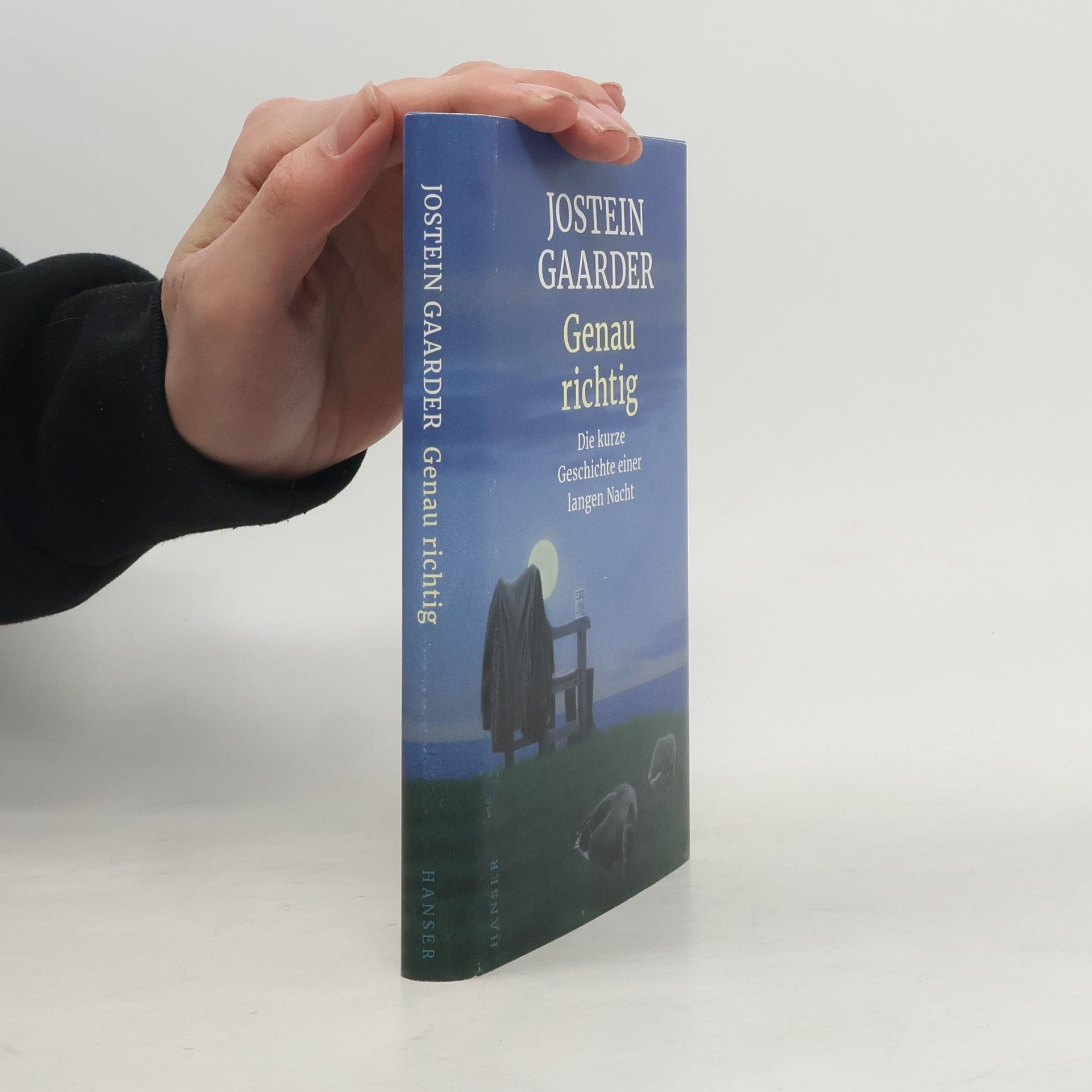 Jostein Gaarder Genau richtig