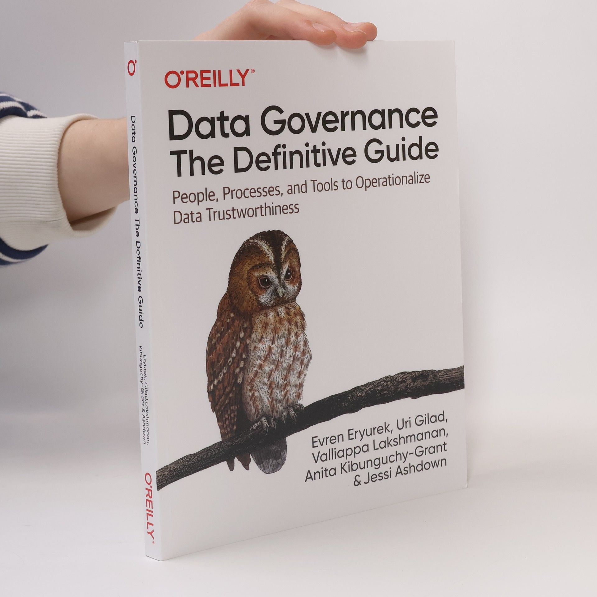 Anita Kibunguchy-Grant Data Governance