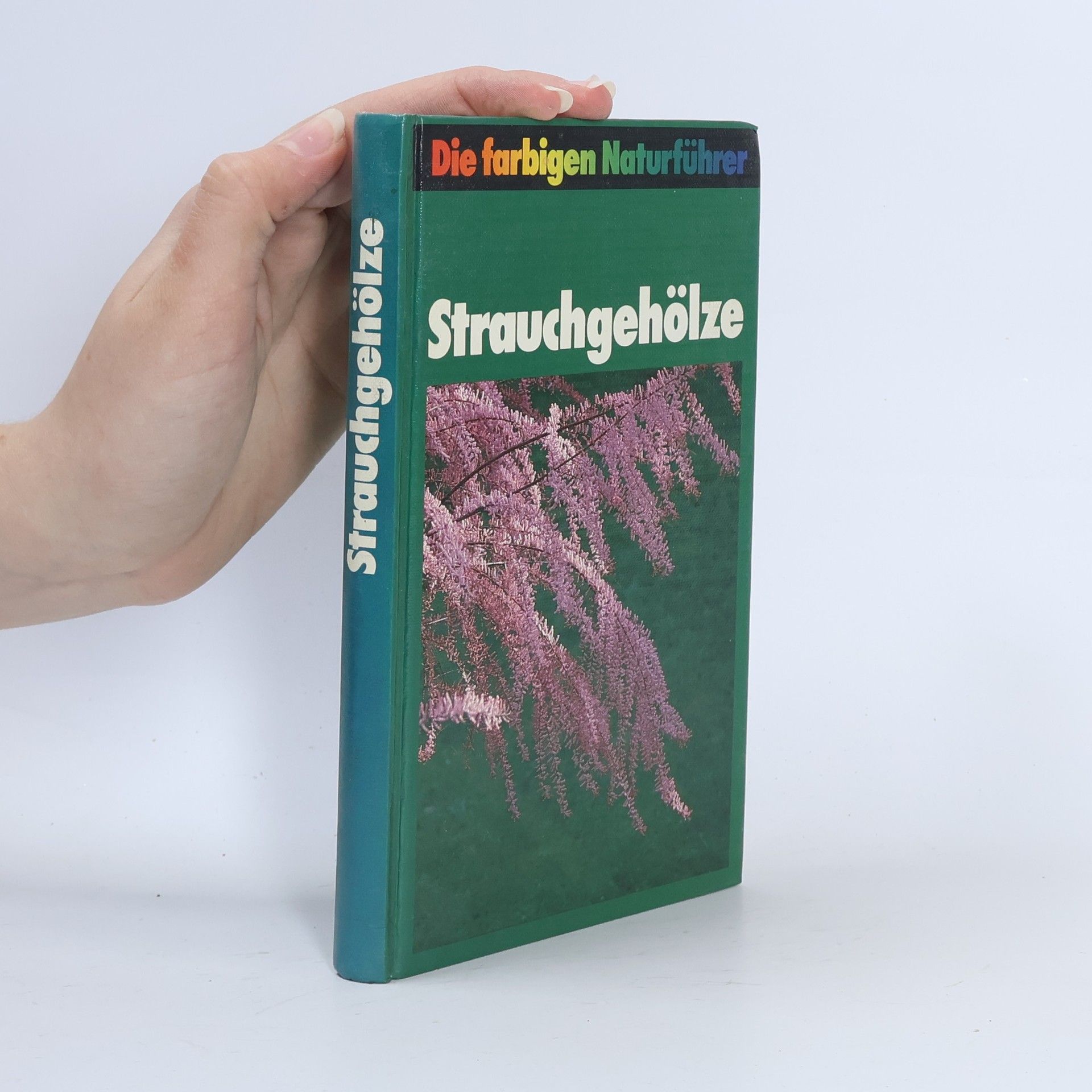 Autorenkollektiv Strauchgehölze