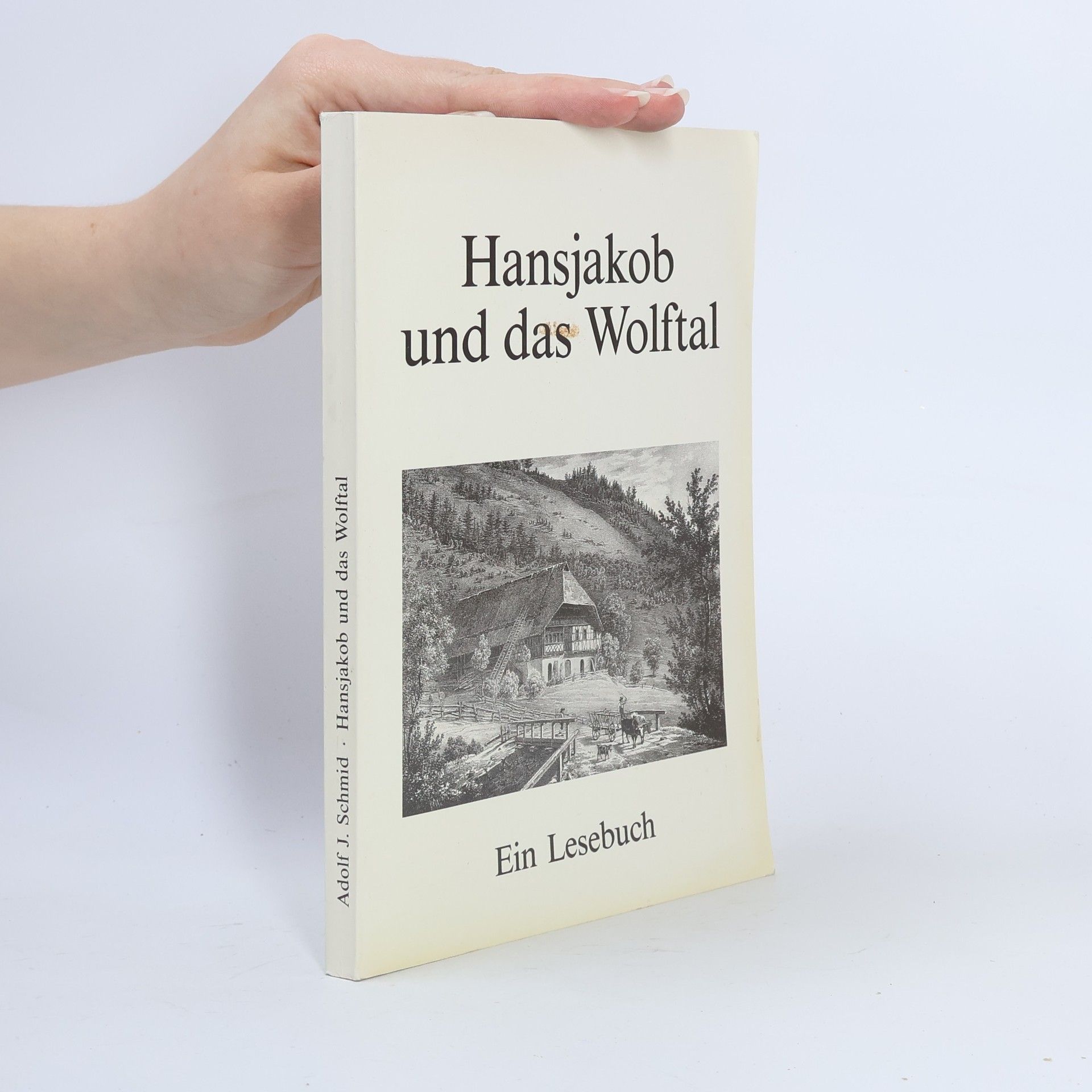 Hansjakob und das Wolftal