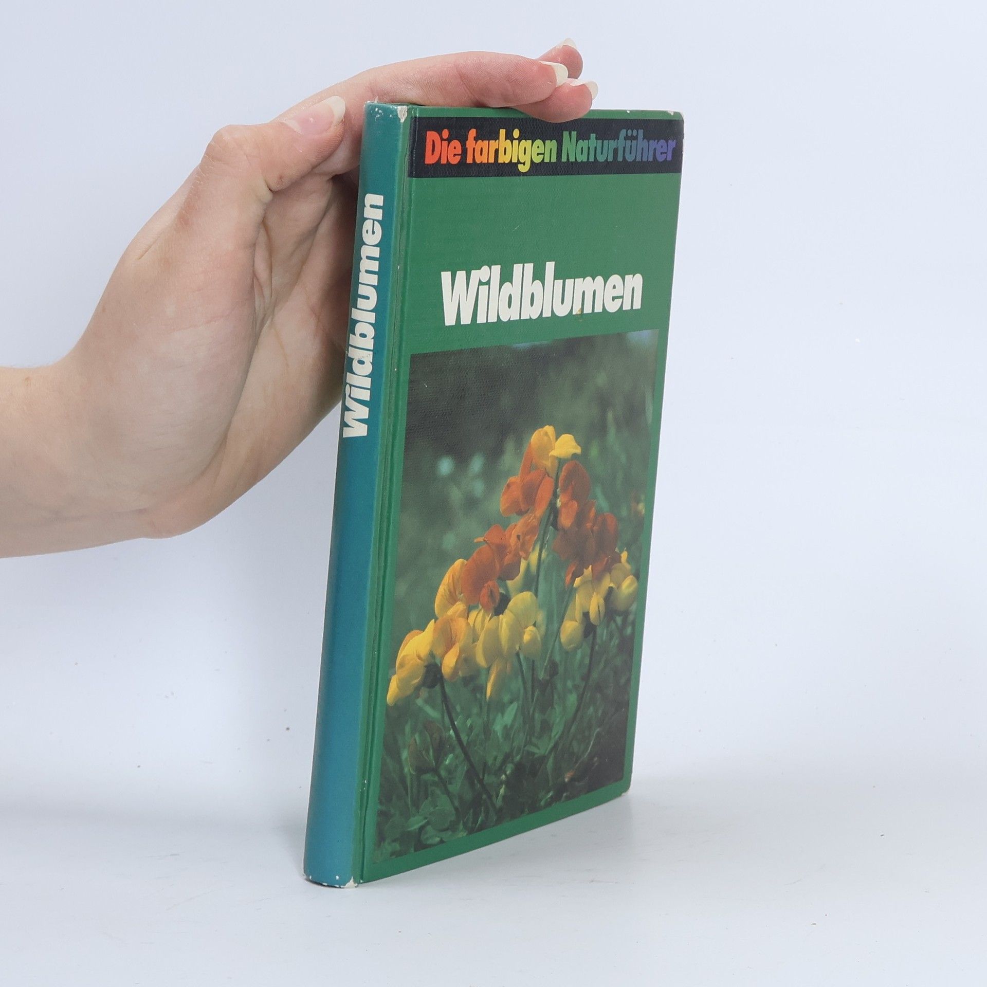 Kolektiv autorů Wildblumen