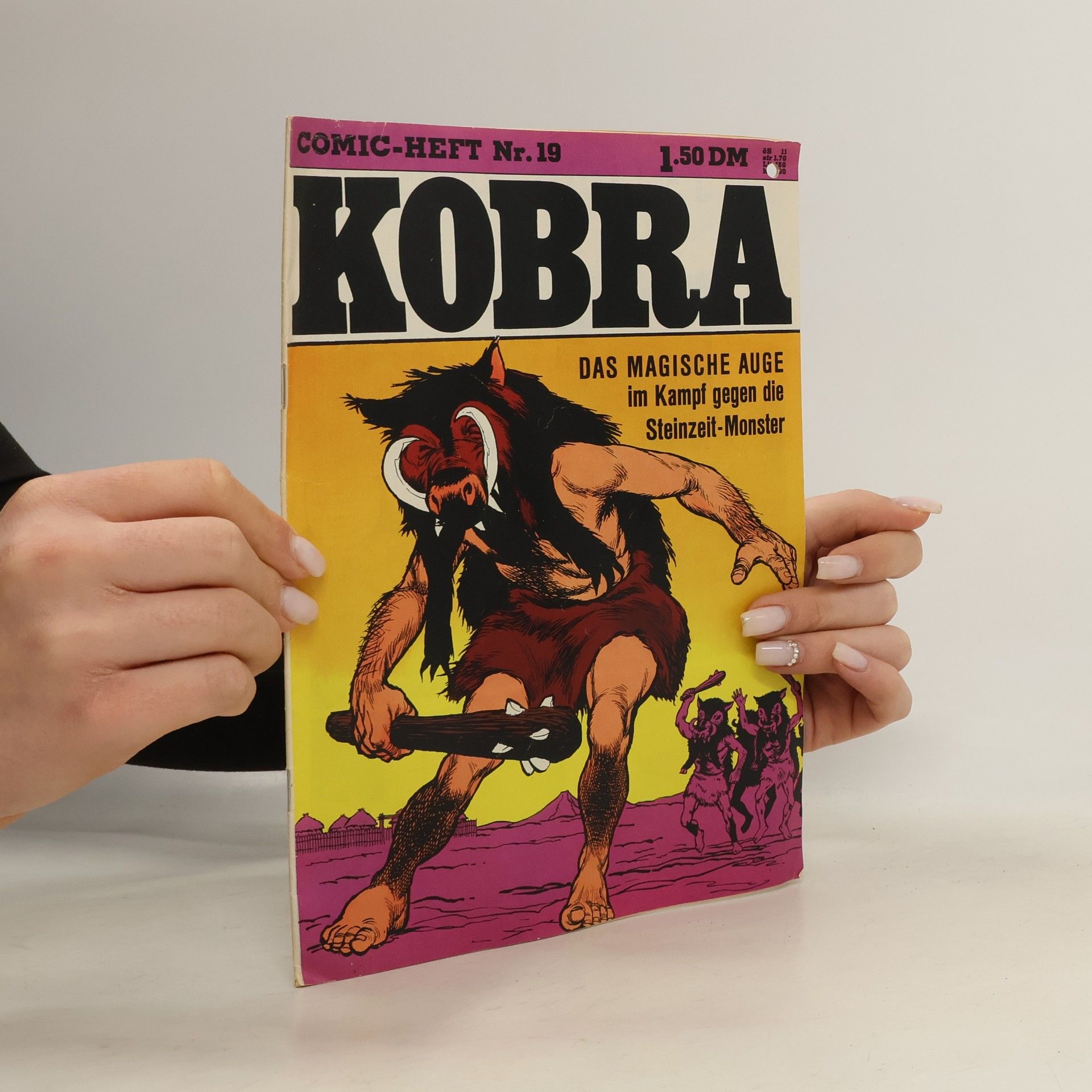 Autorenkollektiv Kobra 19