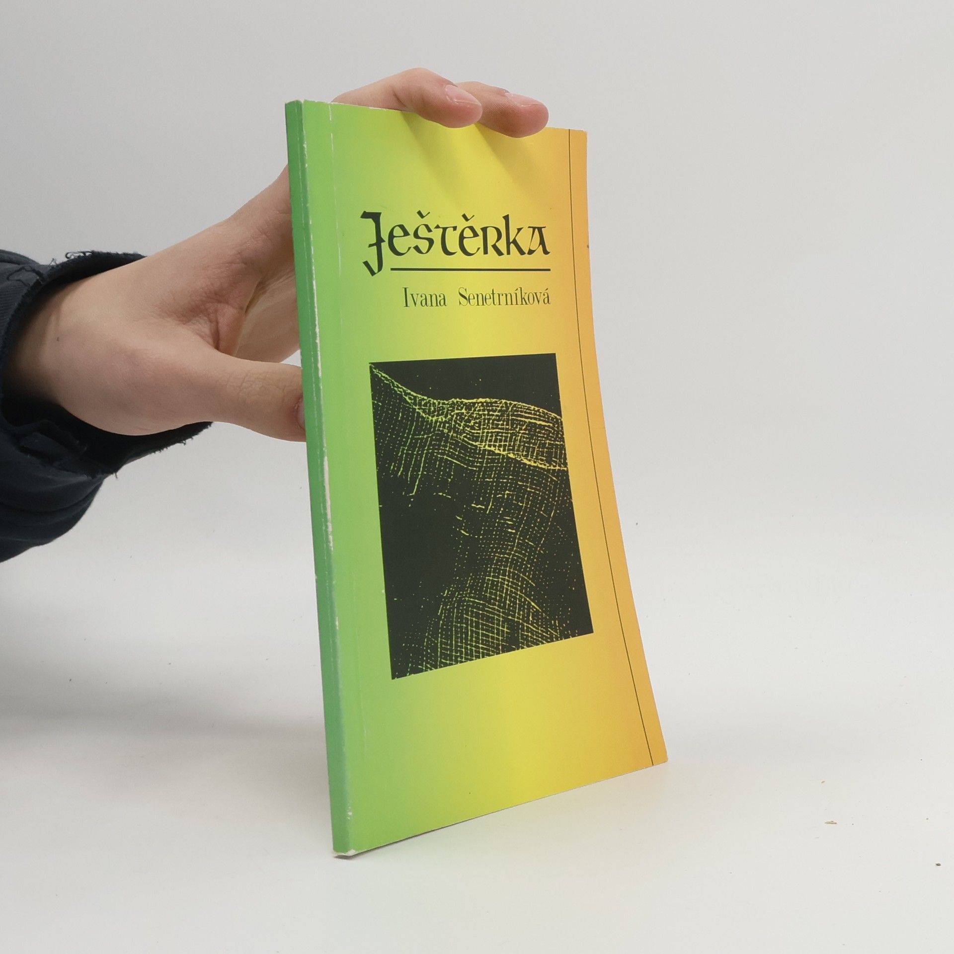Ivana Sanetrníková Ještěrka