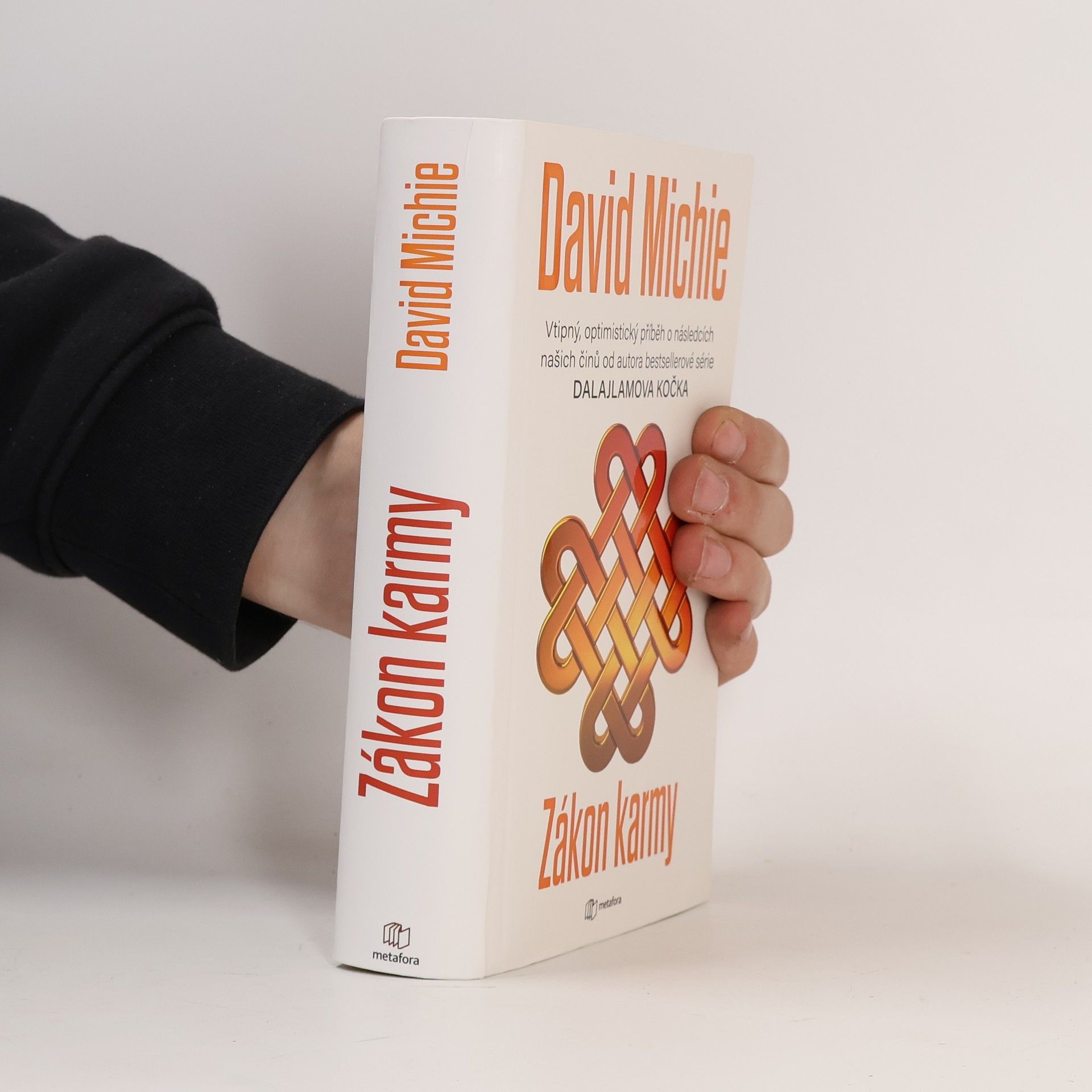 David Michie Zákon karmy