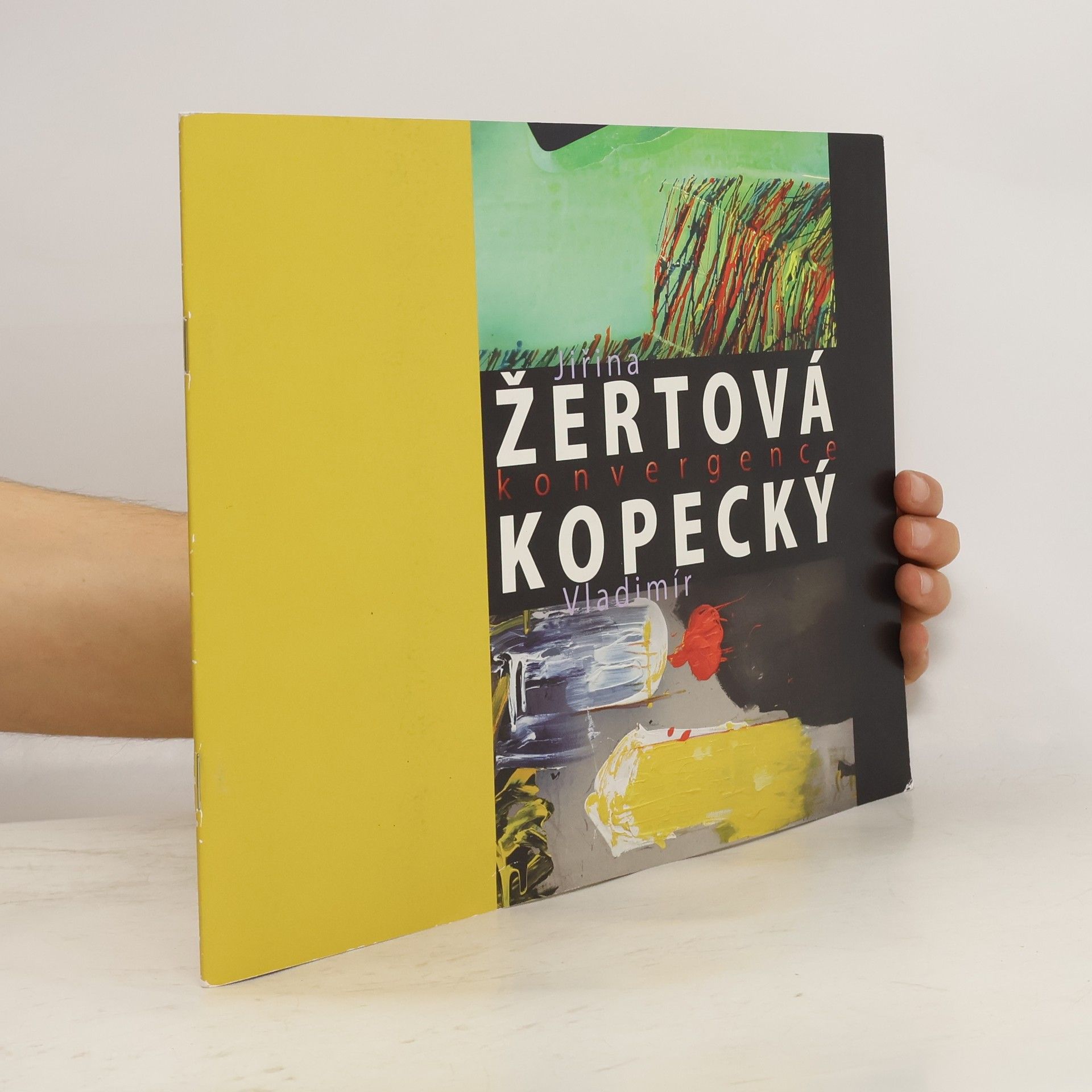 AA.VV. Jiřina Žertová - Vladimír Kopecký : konvergence : Východočeská galerie v Pardubicích, 12.4.-26.5.2013