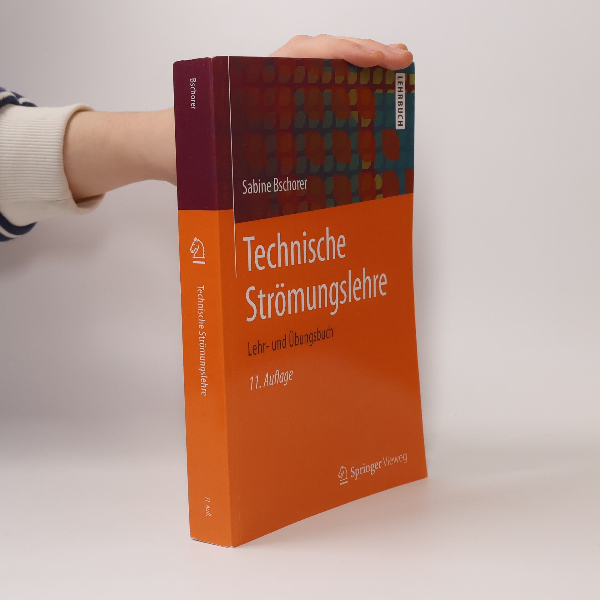 Sabine Bschorer Technische Strömungslehre - 11. Auflage