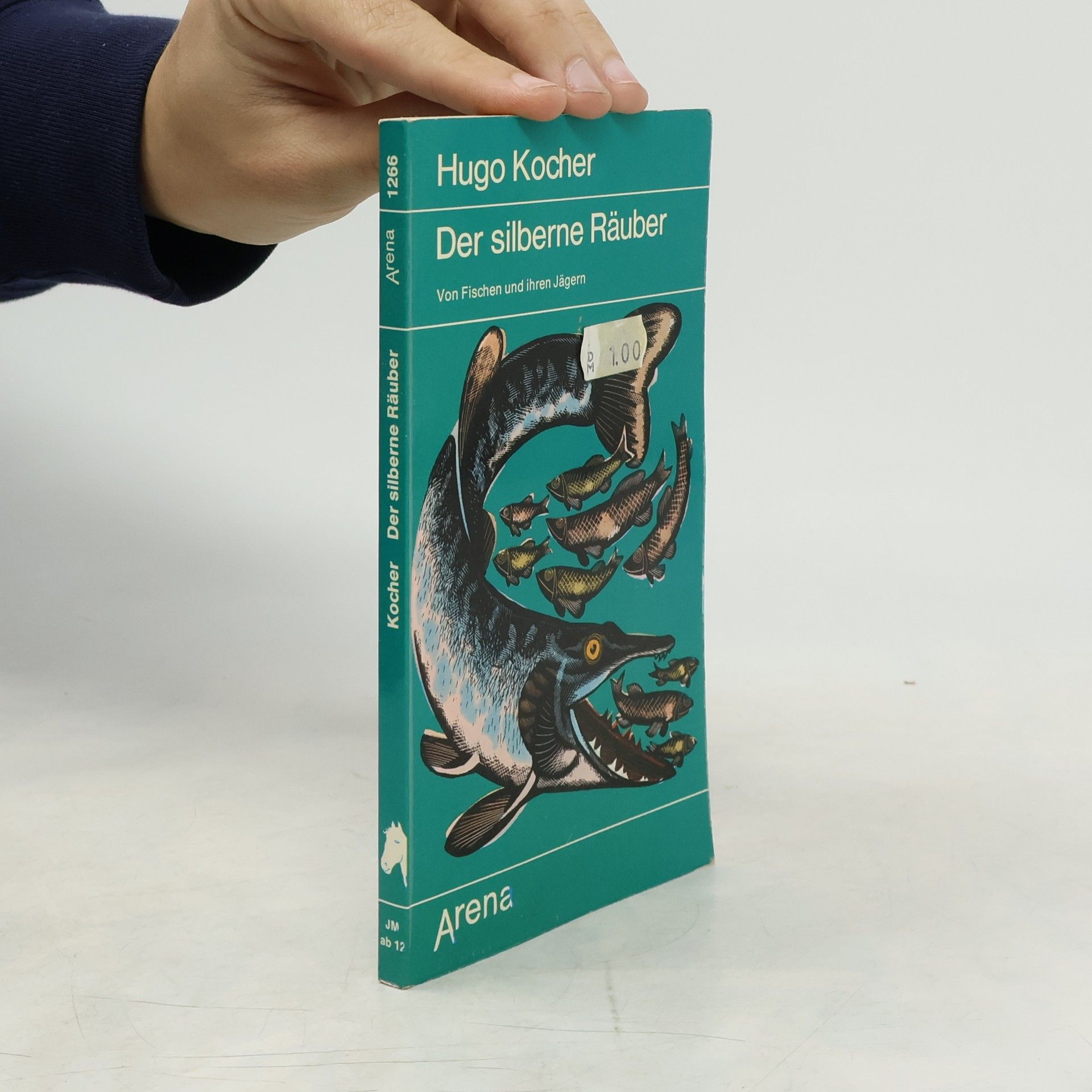 Hugo Kocher Der silberne Räuber