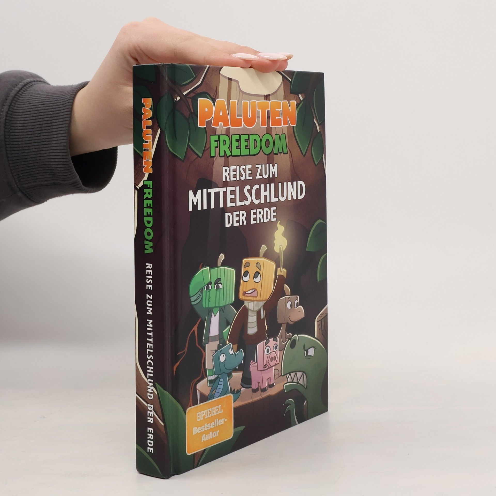 Klaas Kern Reise zum Mittelschlund der Erde