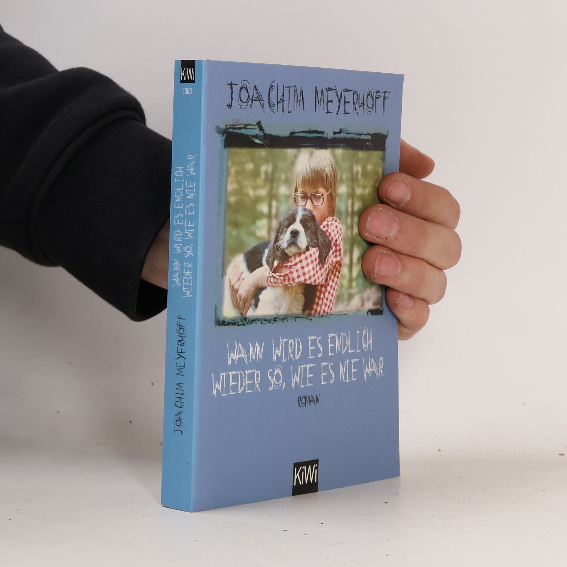 Joachim Meyerhoff Wann wird es endlich wieder so, wie es nie war