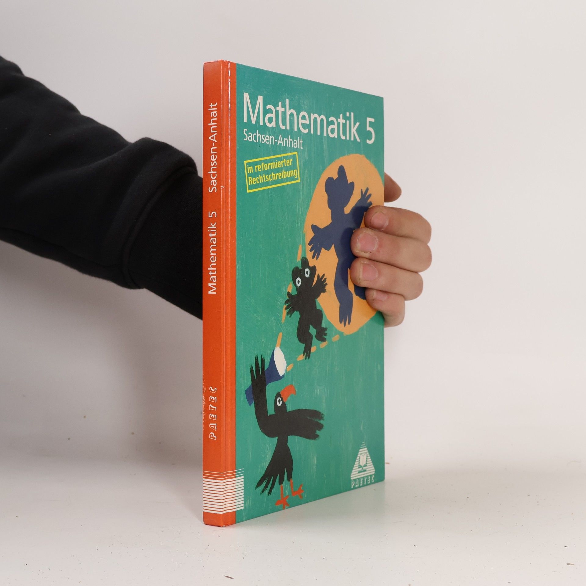 Mathematik Klasse 5 Sachsen-Anhalt. RSR.