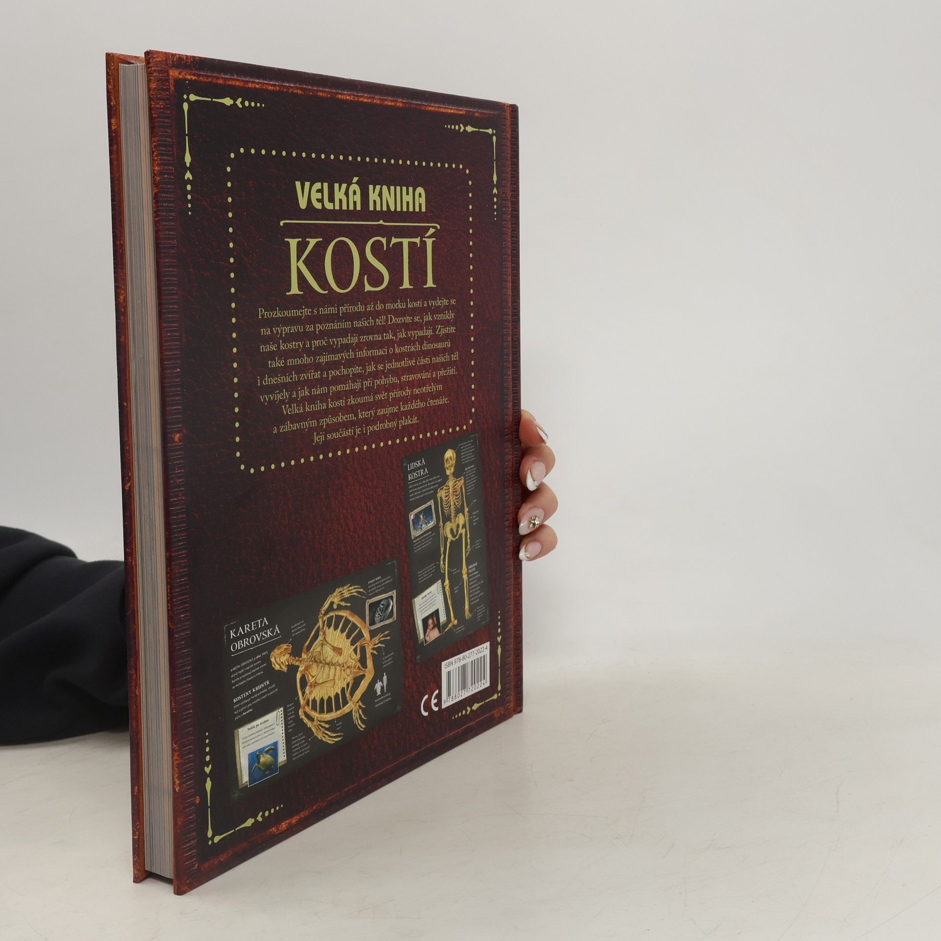 Petr Kotouš Velká kniha kostí