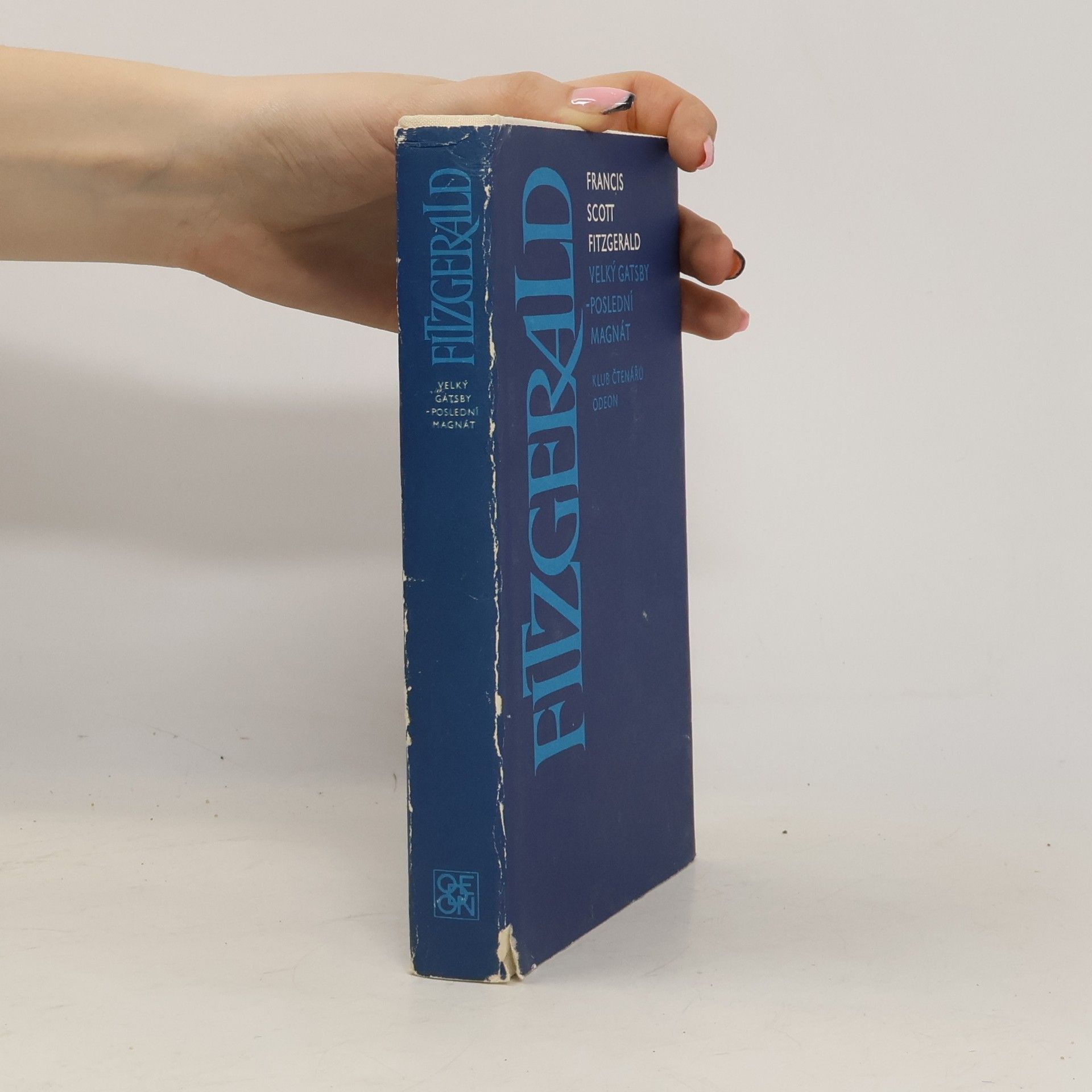 Velký Gatsby. Poslední magnát