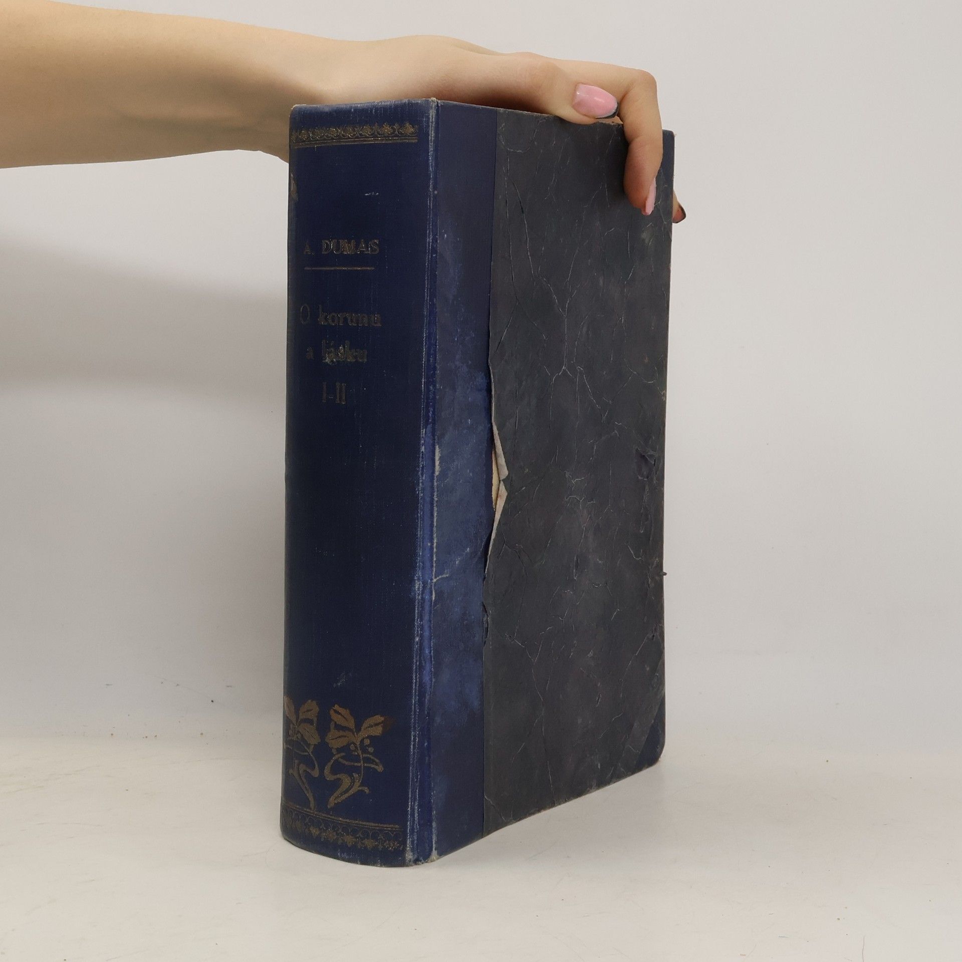 Alexandre Dumas starší O korunu a lásku I.-II.