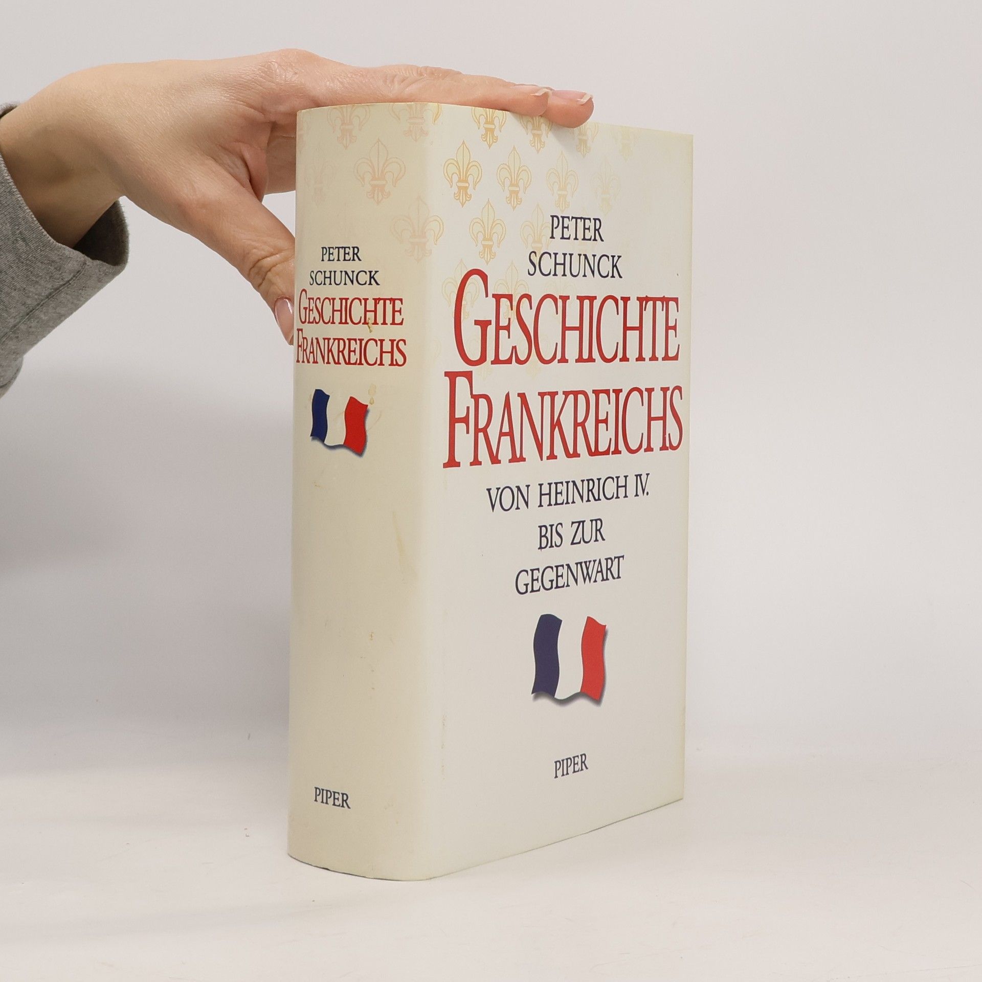 Peter Schunck Geschichte Frankreichs