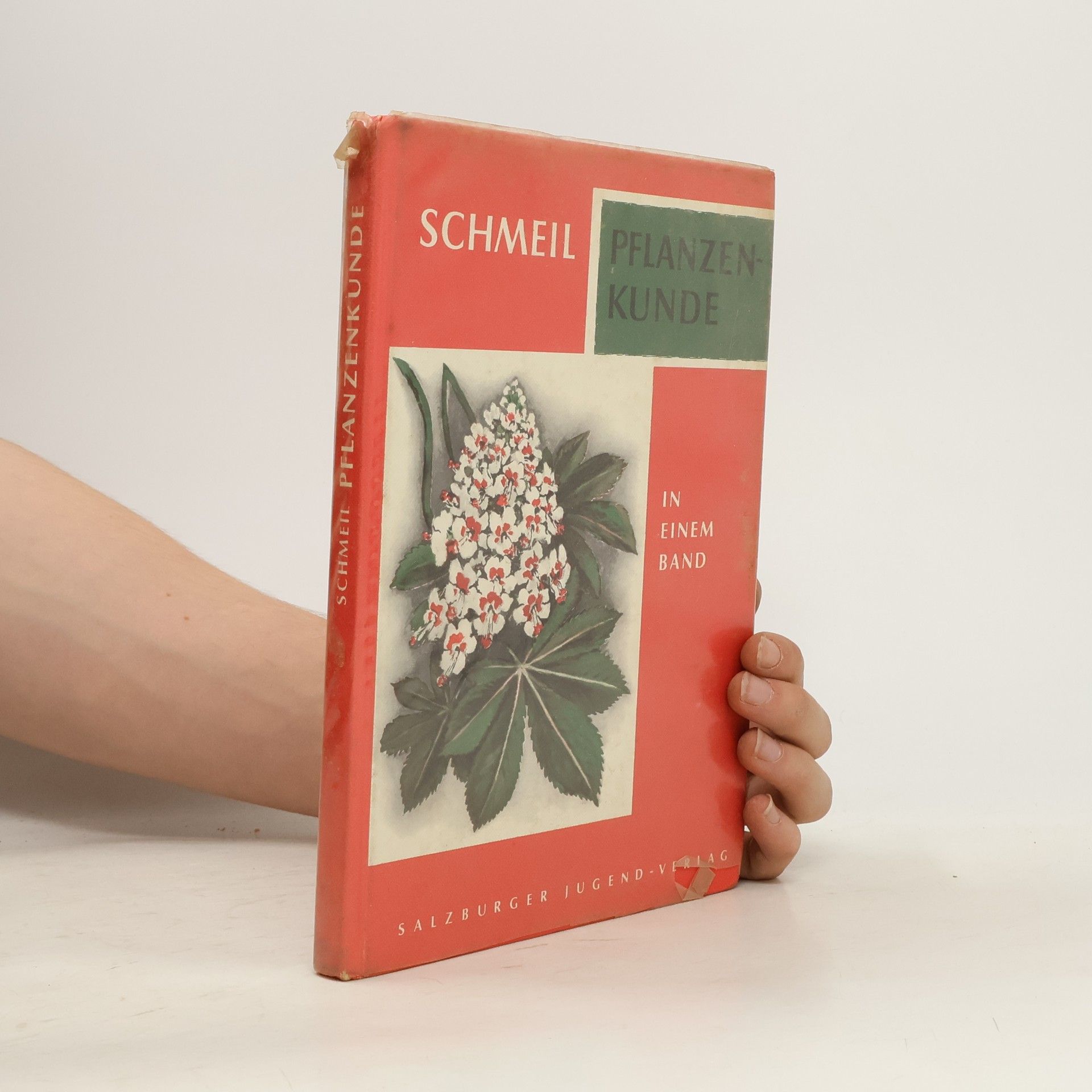 Otto Schmeil Pflanzenkunde