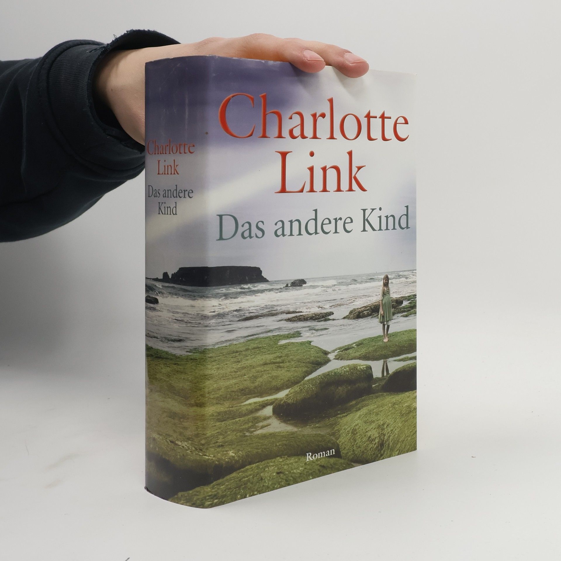 Charlotte Link Das andere Kind