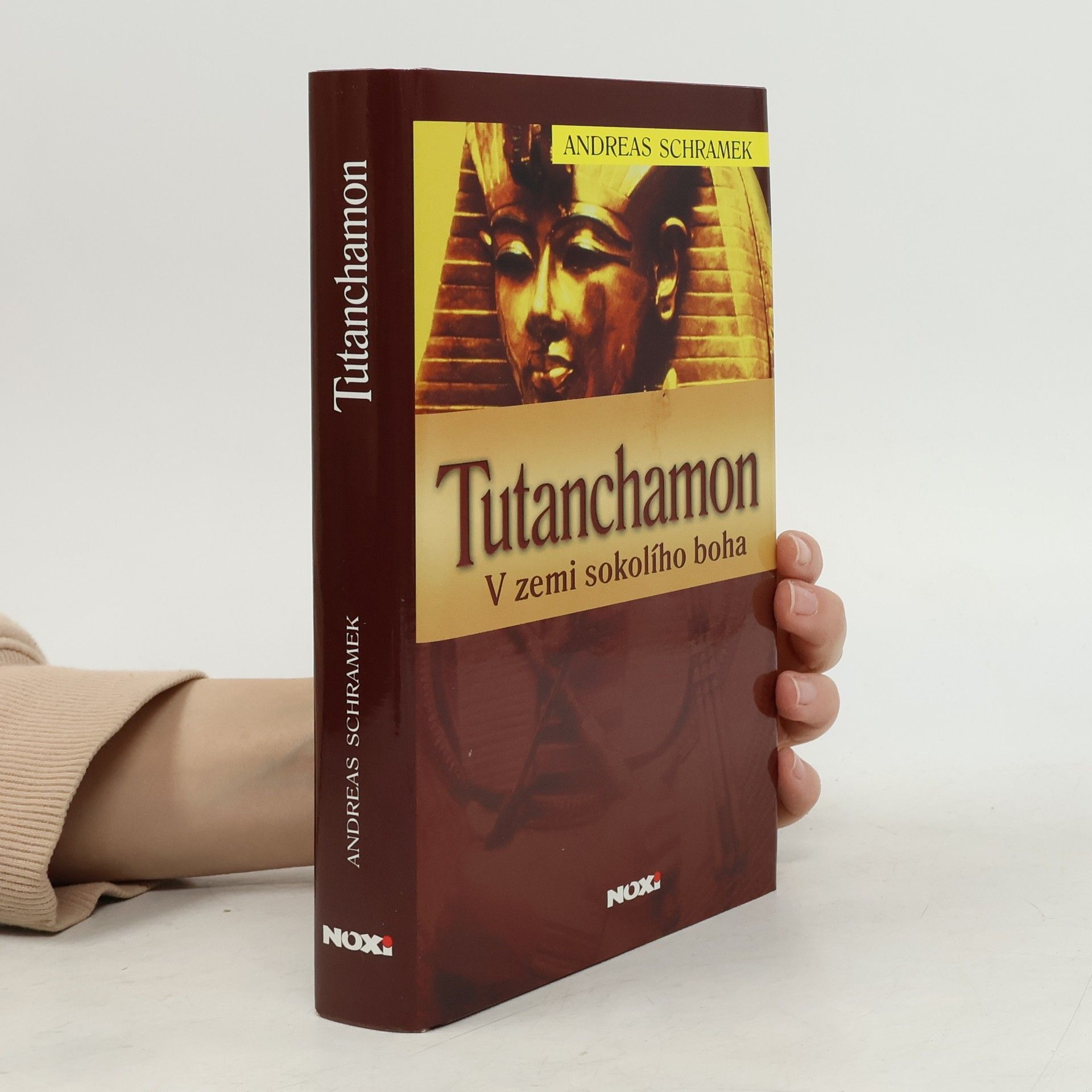 Rudolf Řežábek Tutanchamon: V zemi sokolího boha