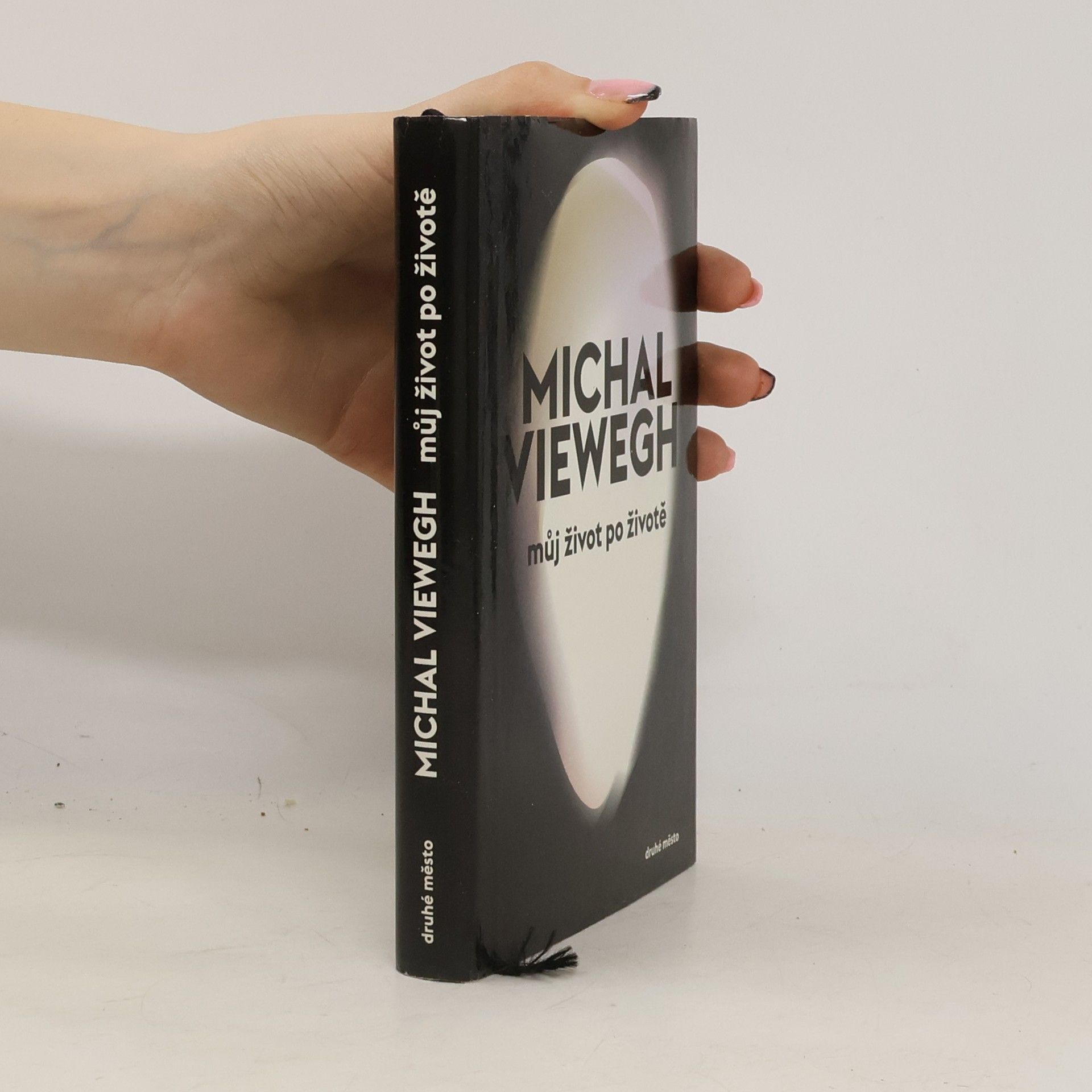 Michal Viewegh Můj život po životě