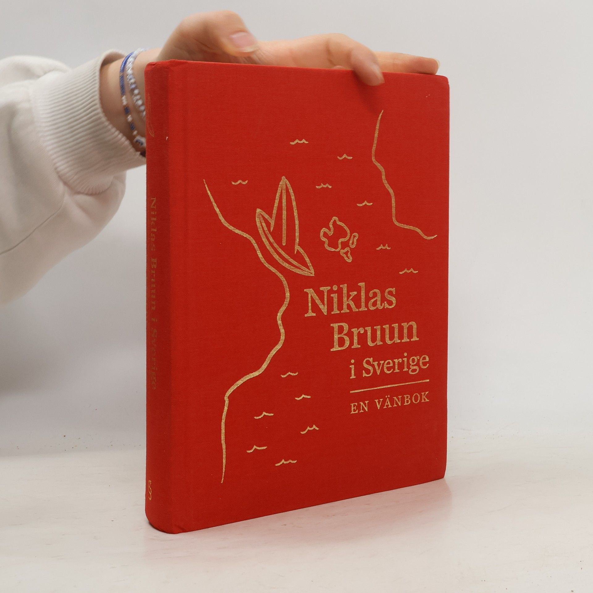 Niklas Bruun Niklas Bruun i Sverige