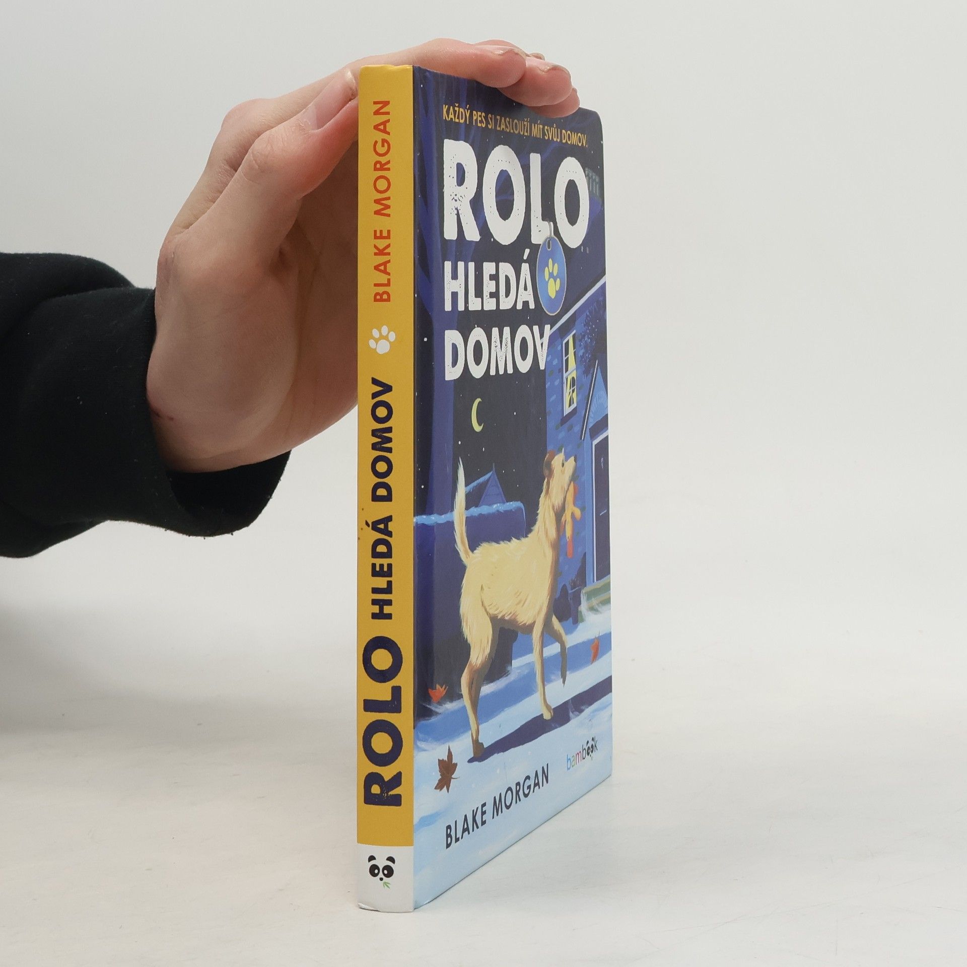 Martin Kolenič Rolo hledá domov