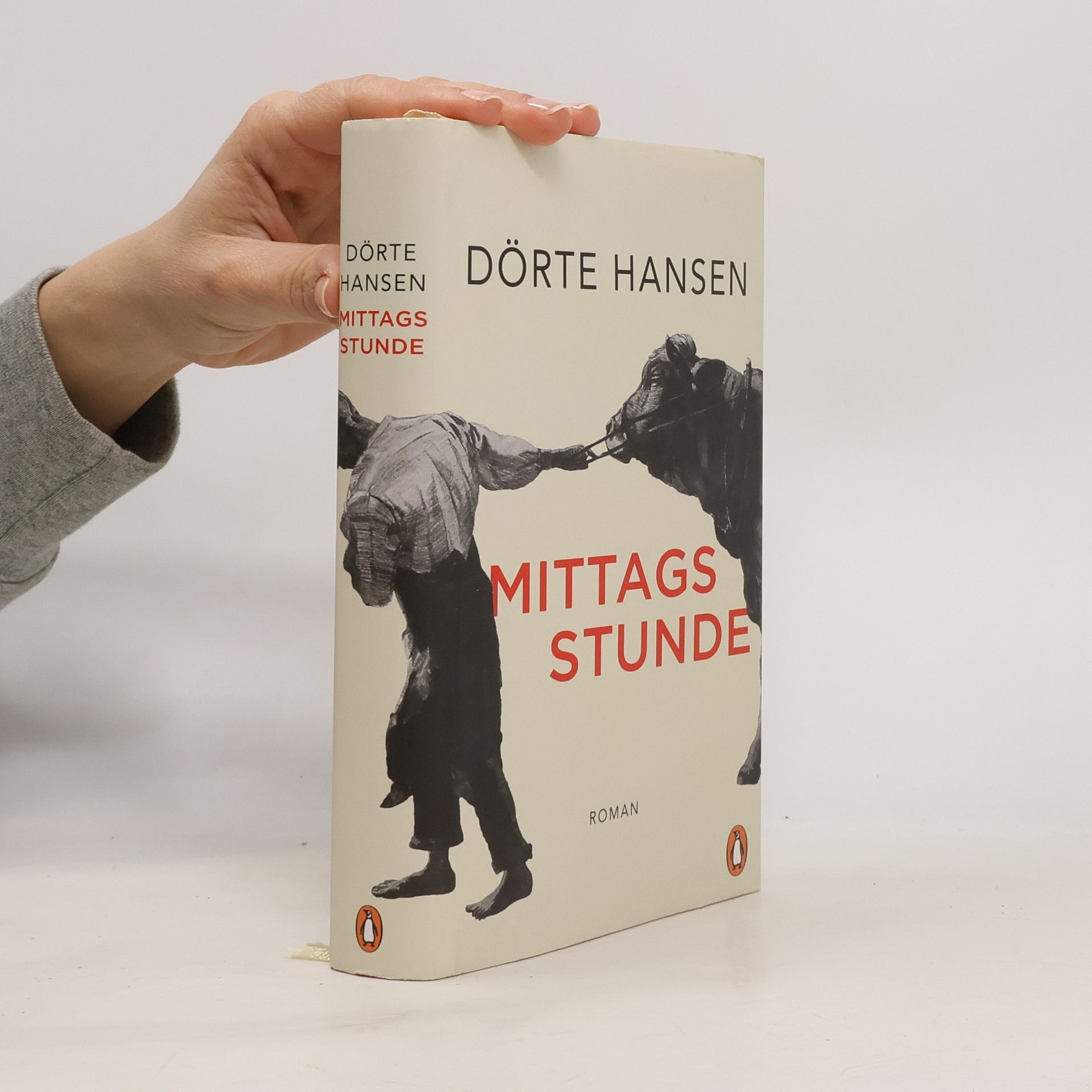 Dörte Hansen Mittagsstunde