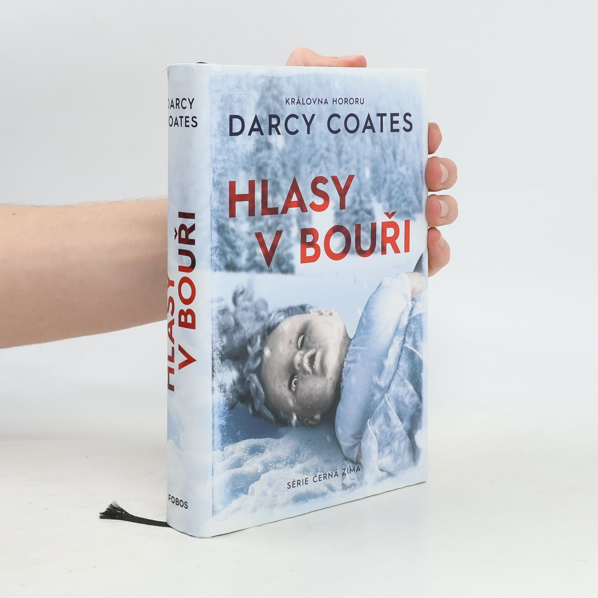 Darcy Coates Hlasy v bouři